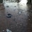 A body of water is heavily polluted with various types of debris, including plastic bottles, an old tire, and other miscellaneous trash. The water surface is cluttered with litter, suggesting environmental neglect and pollution.