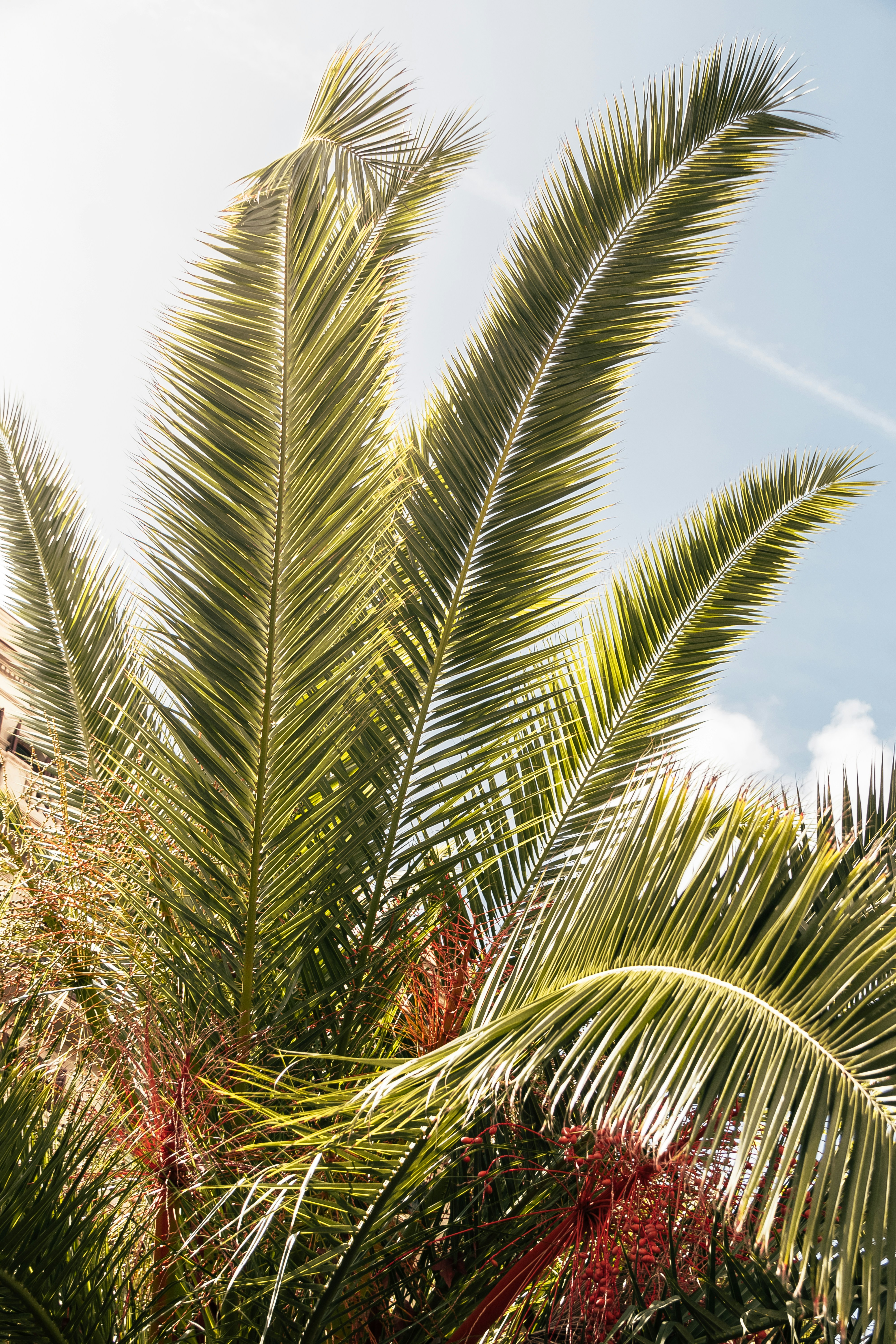 Photo by leonardomoreirass