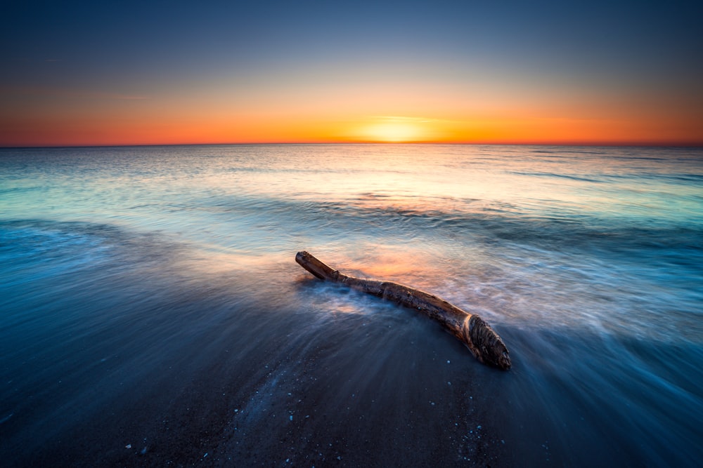 a log in the water