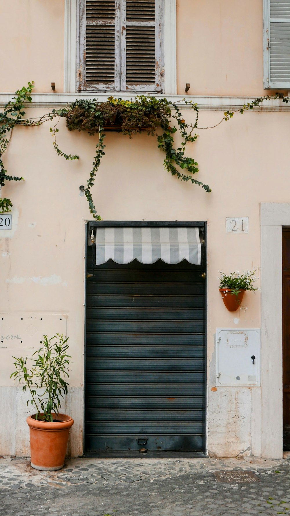 una puerta con plantas