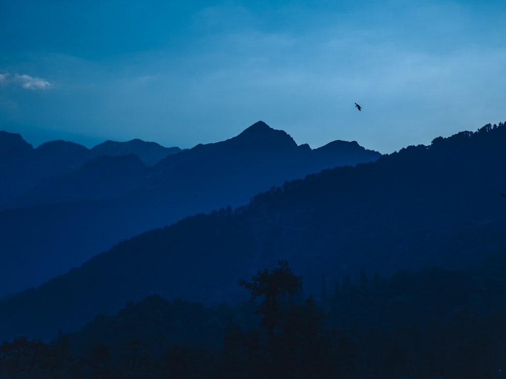 a bird flying over a mountain