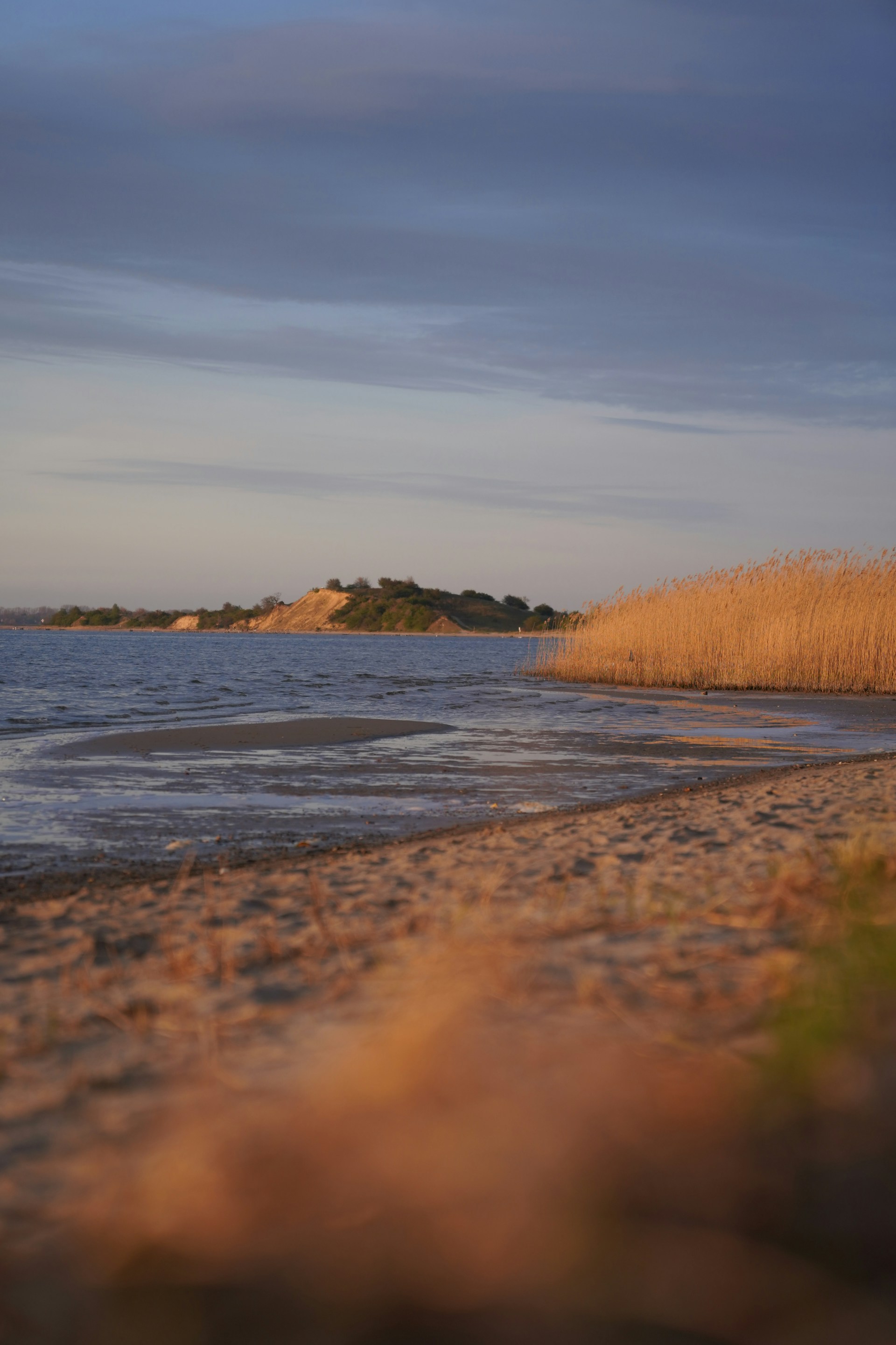 a beach with sand and water
