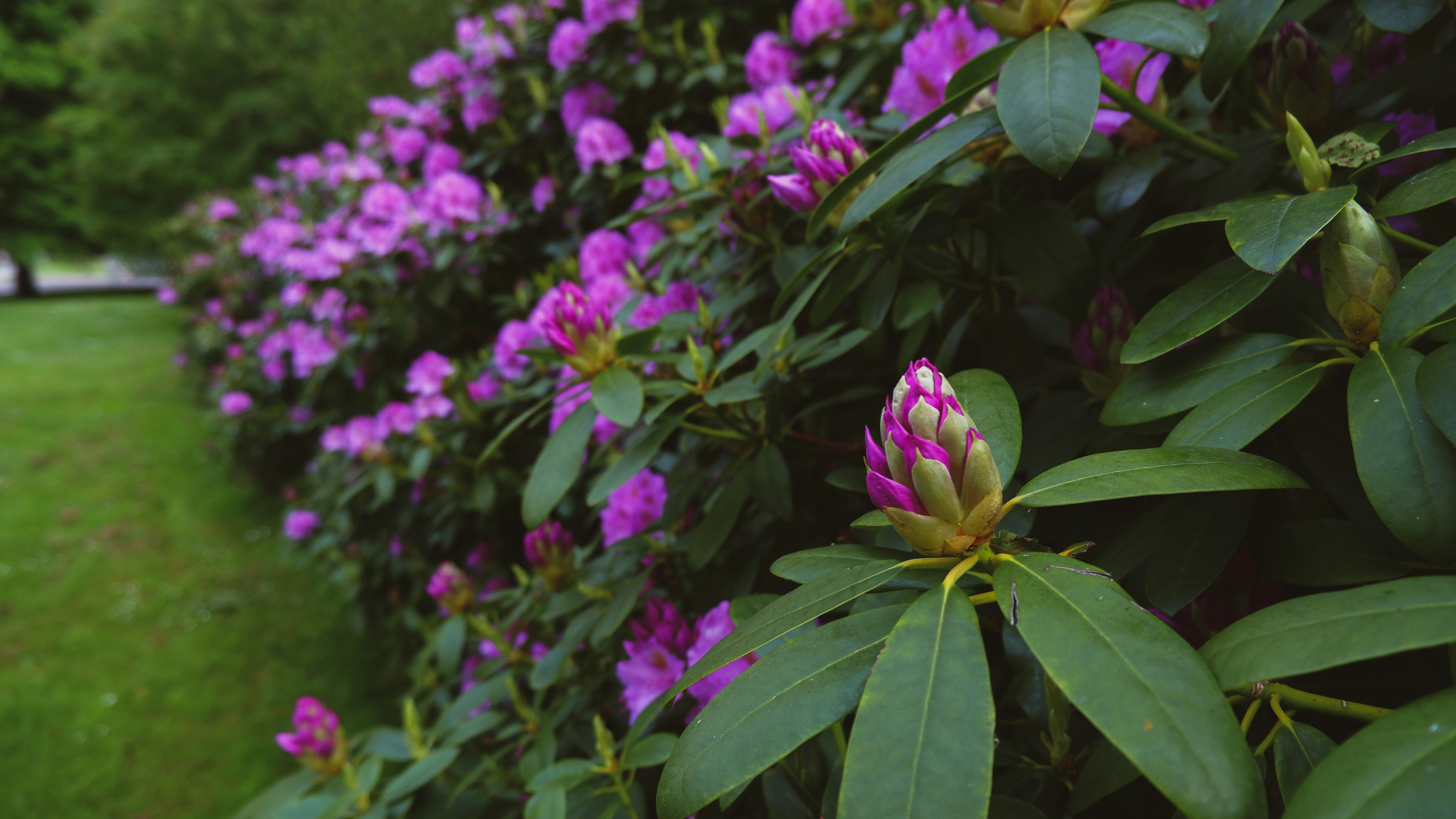 Photo by tanyachuvpylova