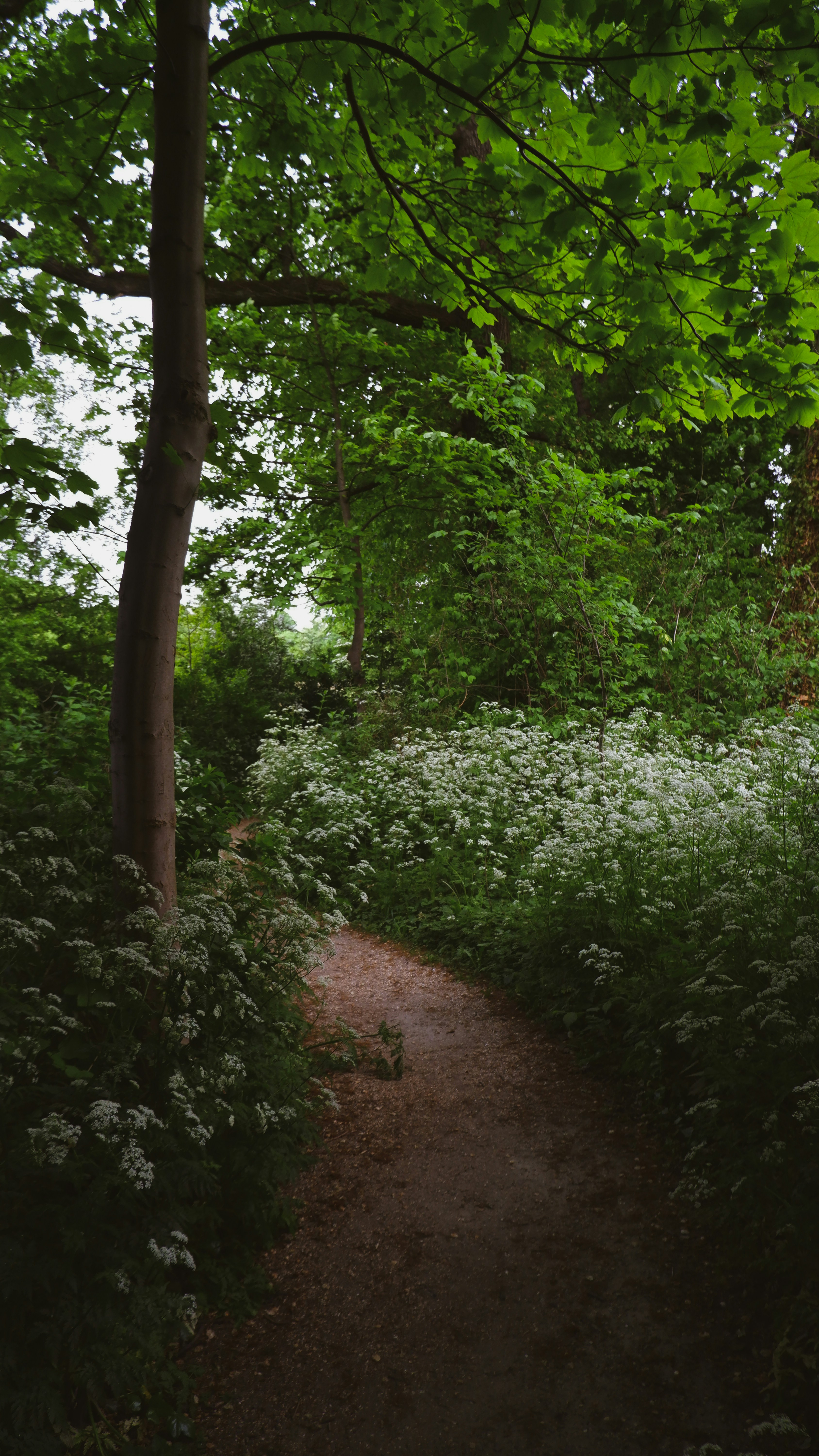 Photo by tanyachuvpylova