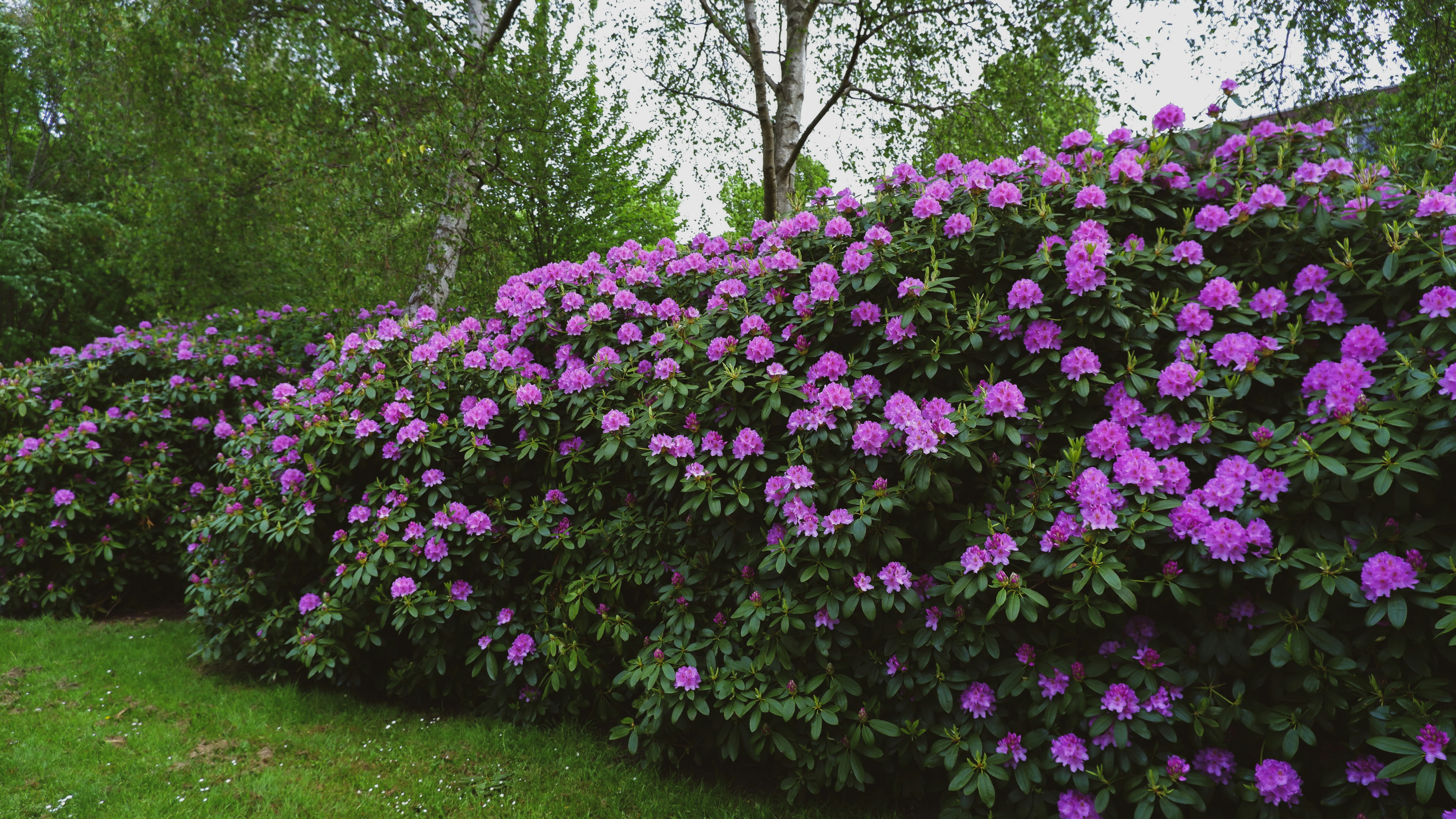 Photo by tanyachuvpylova