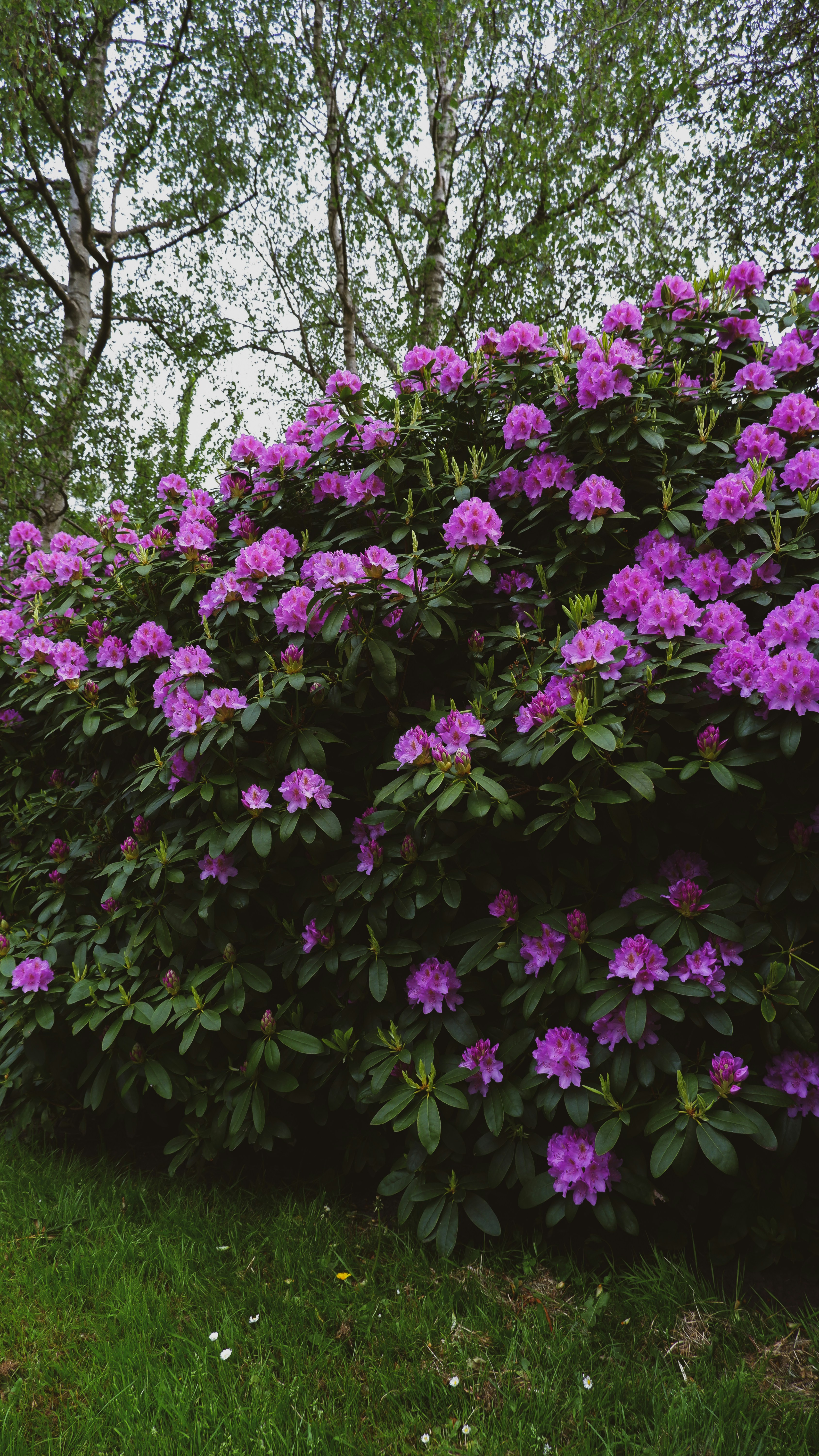 Photo by tanyachuvpylova