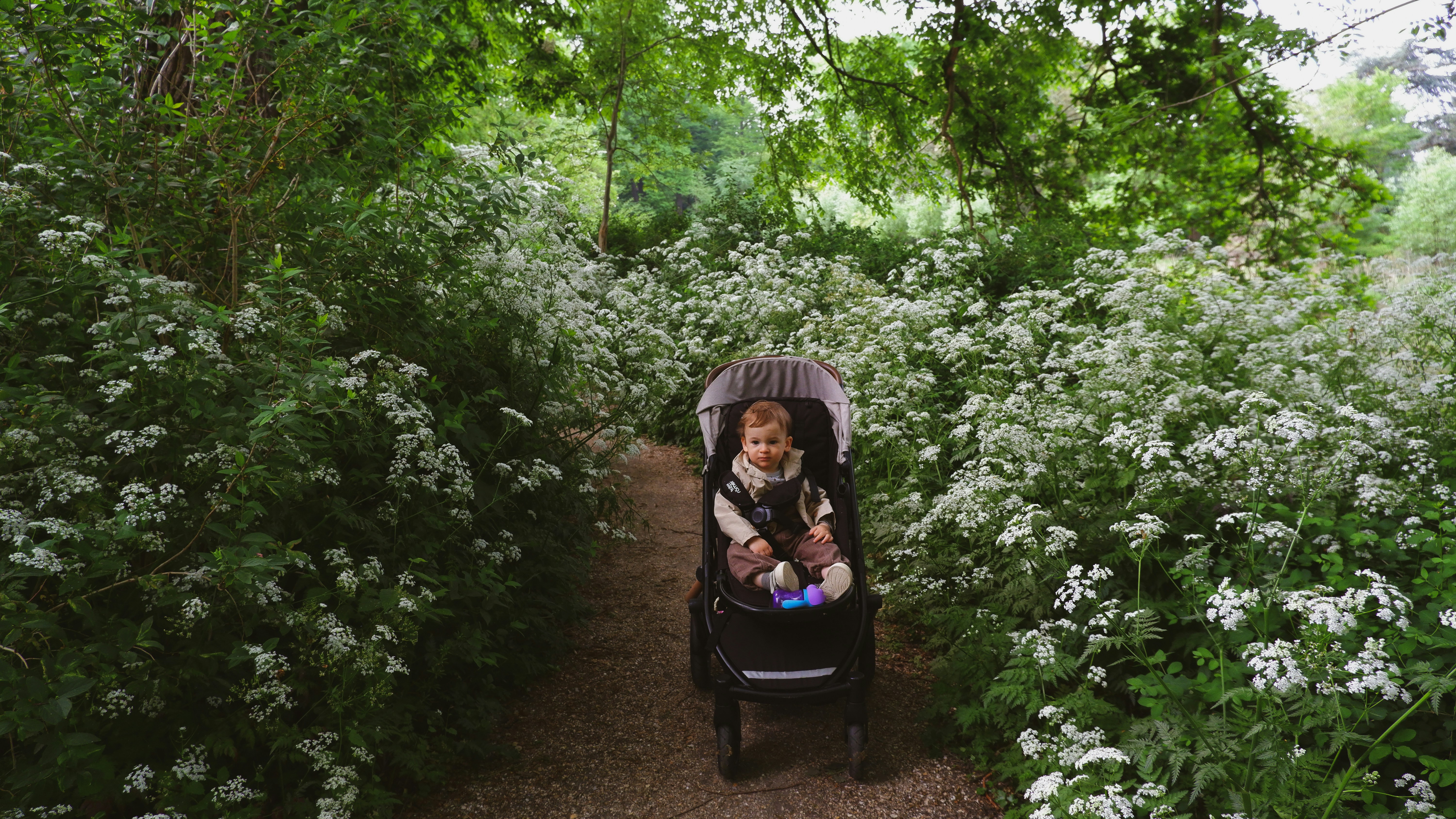 a child in a stroller in a garden