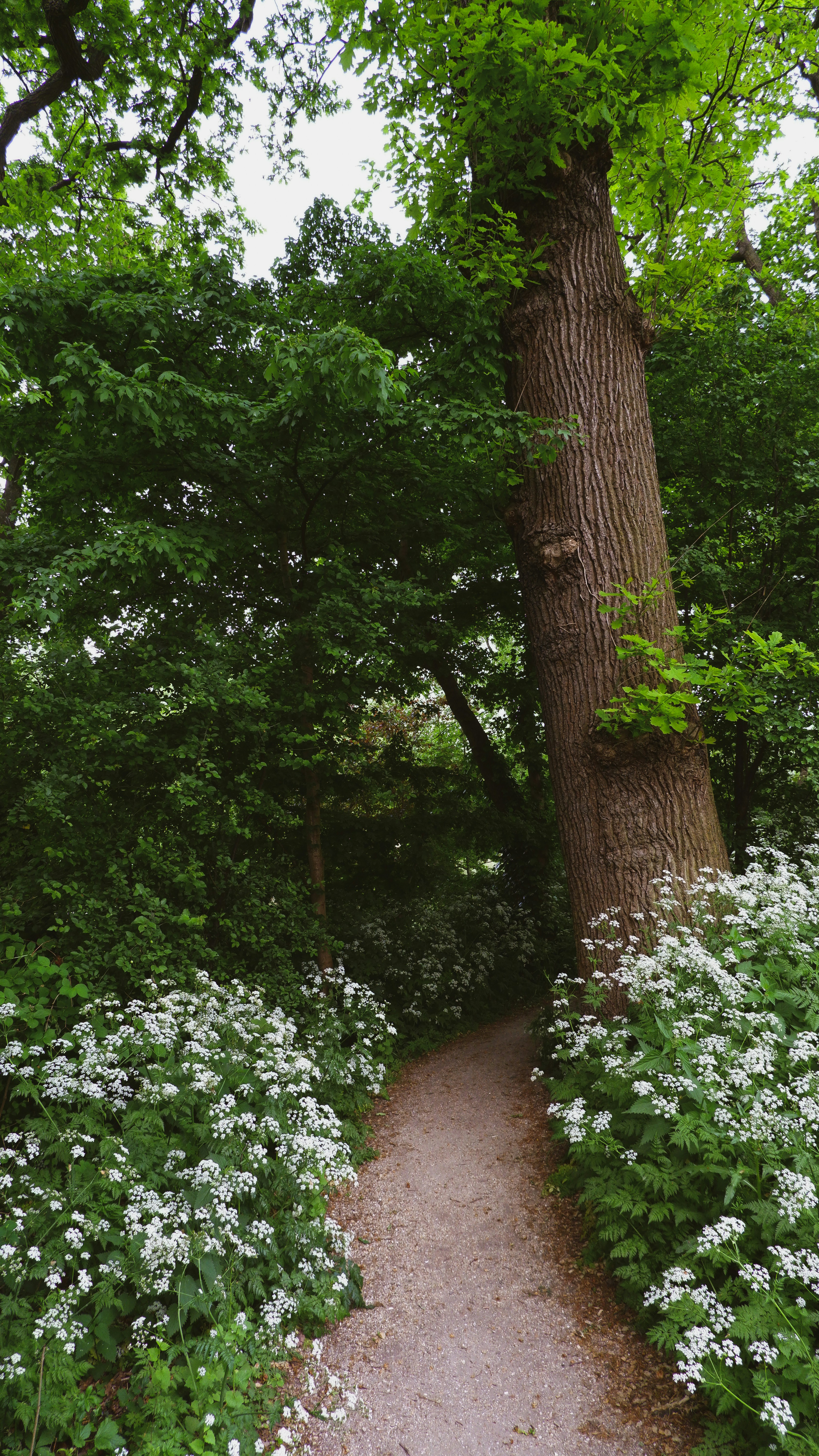 Photo by tanyachuvpylova