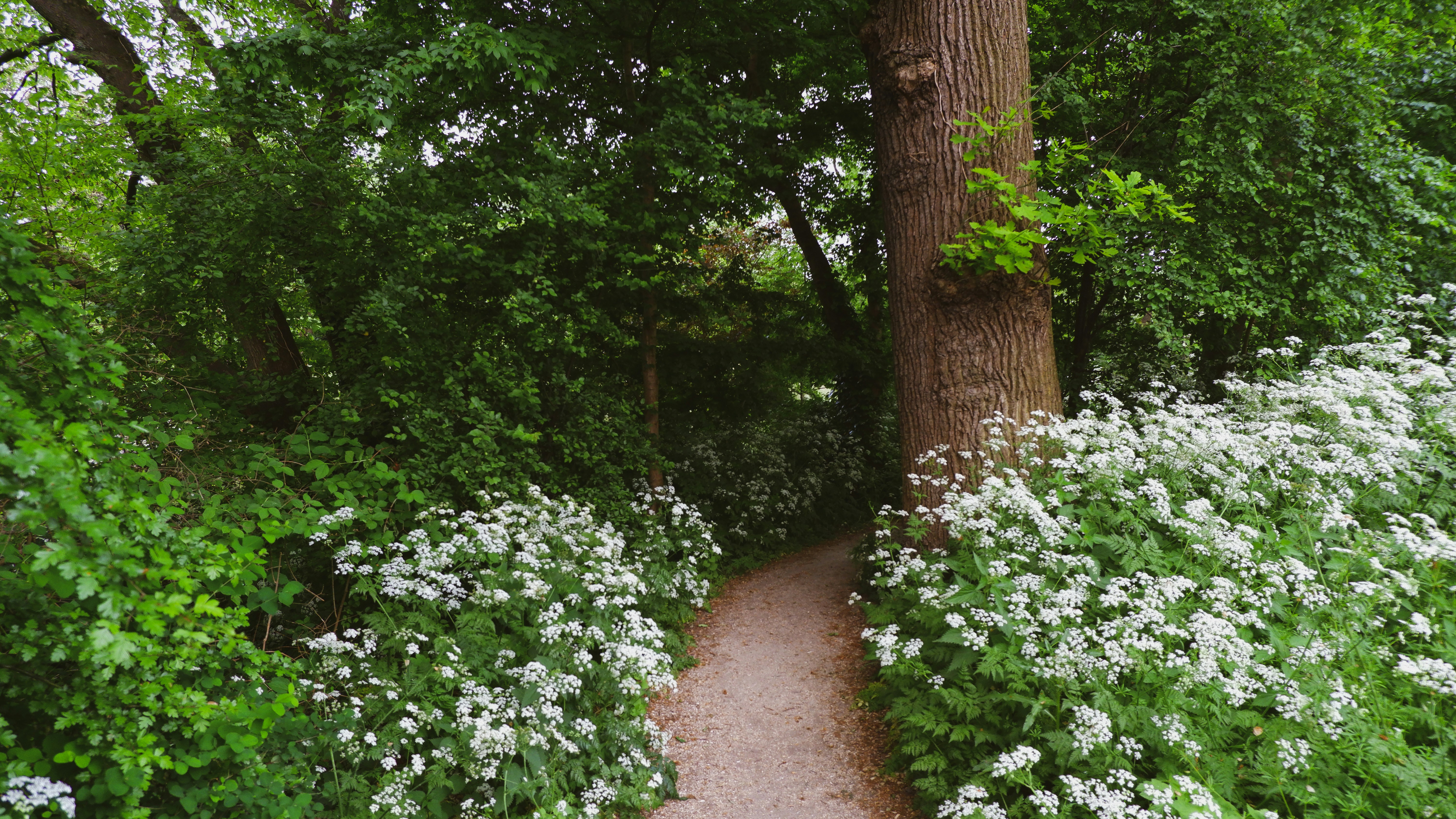 Photo by tanyachuvpylova