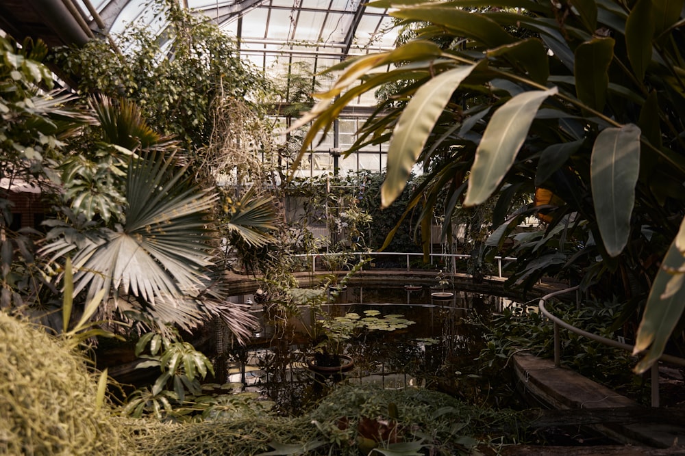 a large indoor garden