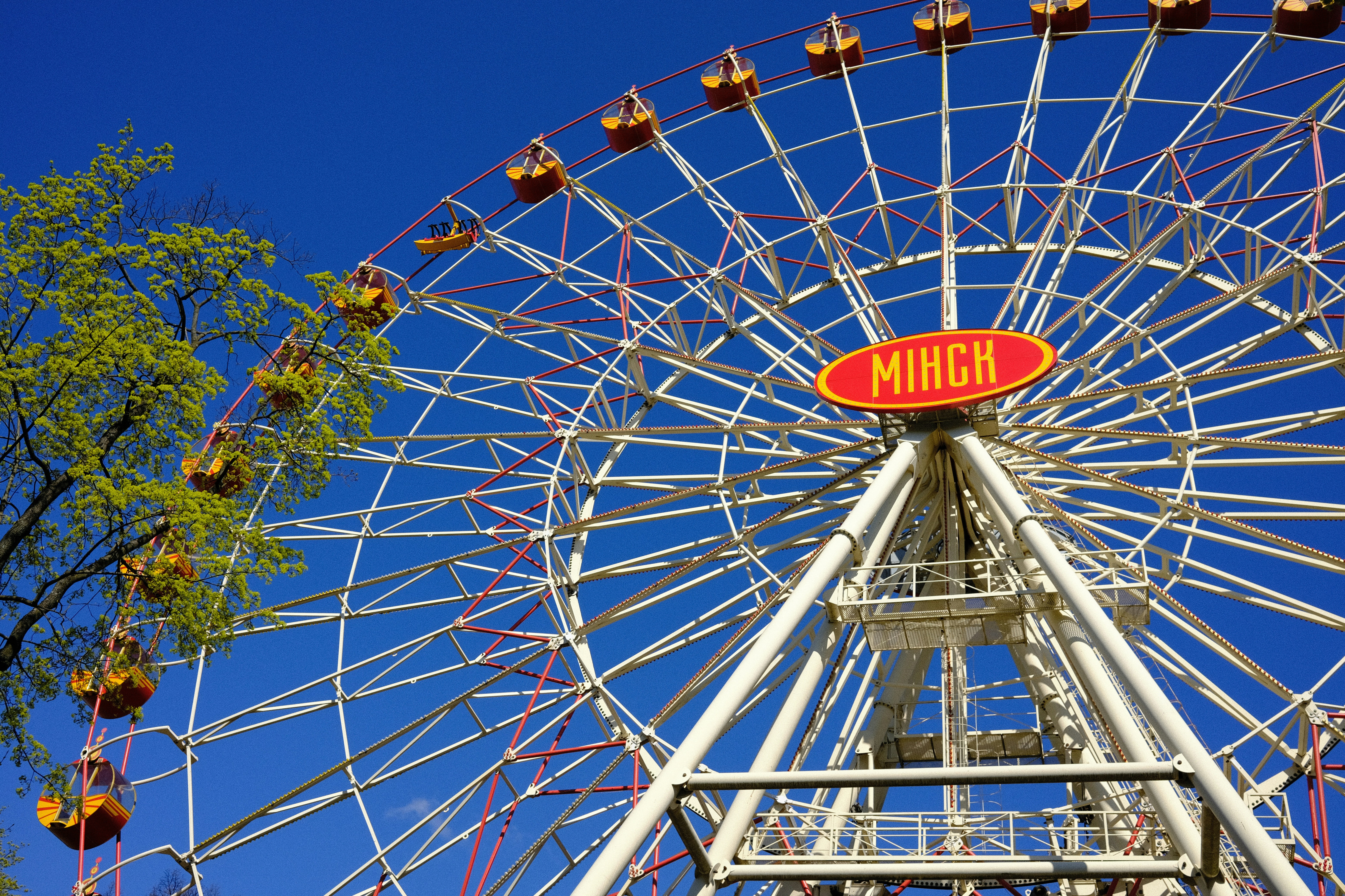 a ferris wheel with a tree in the background
