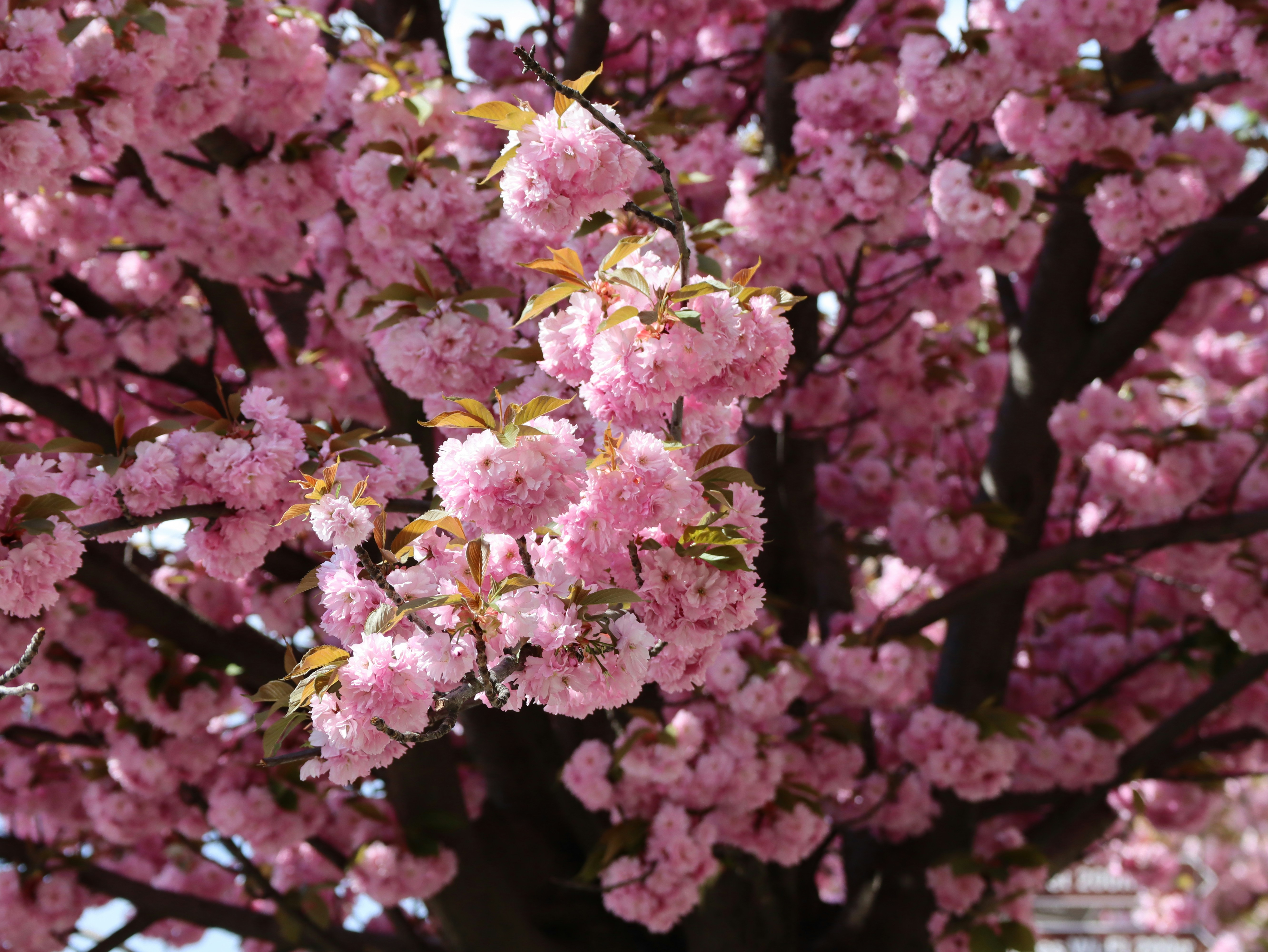 Photo by violatakesphotos