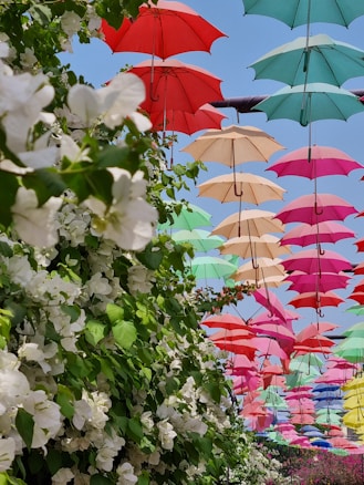 Colorful umbrellas are suspended in the air, creating a vibrant canopy against a clear blue sky. Below, lush green and white flowering plants add to the scene's lushness.
