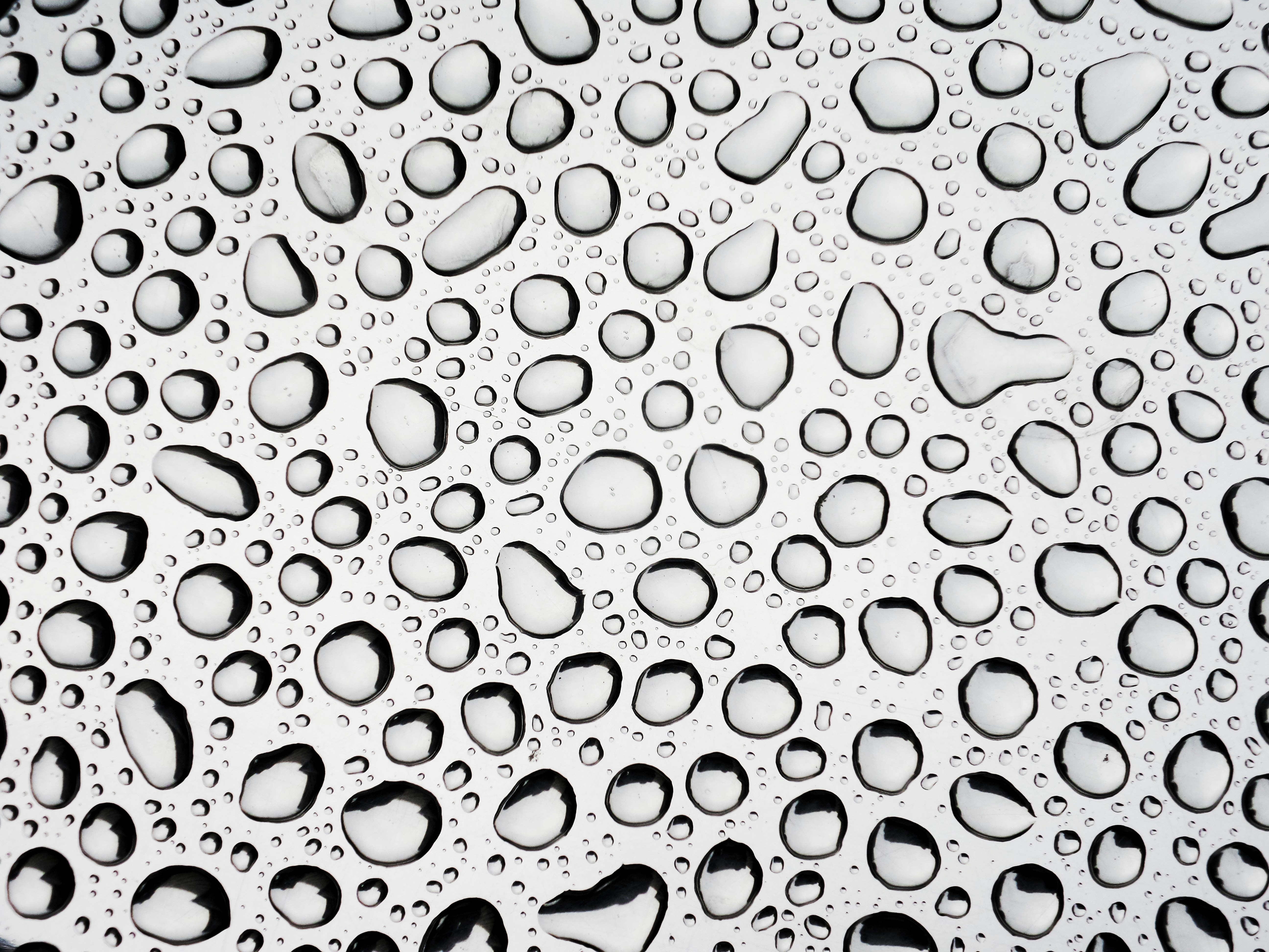 Photo by possessedphotography