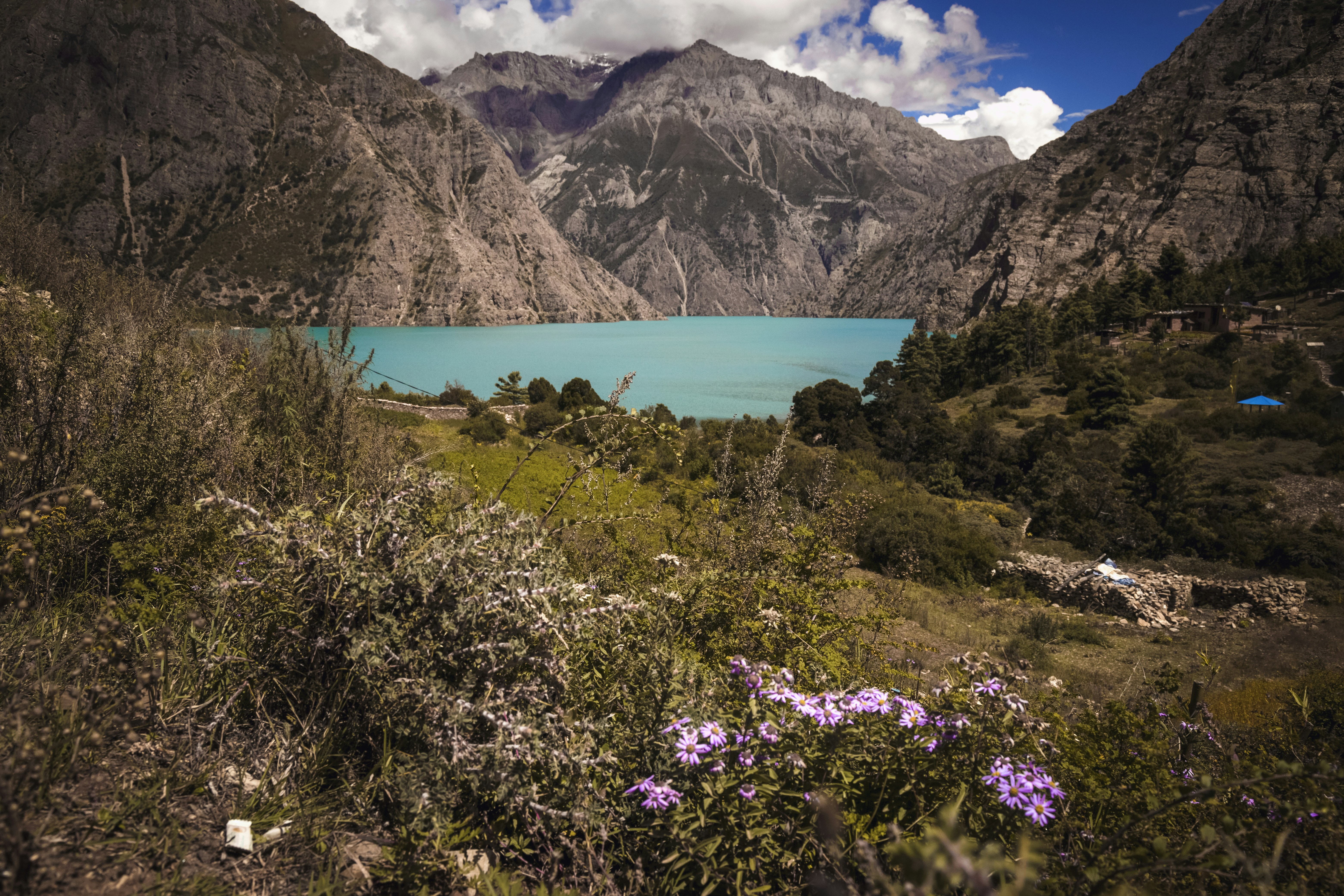 Photo by ashokjkshetri