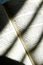 A scholar reading an ancient Bible in a warmly lit study filled with books.