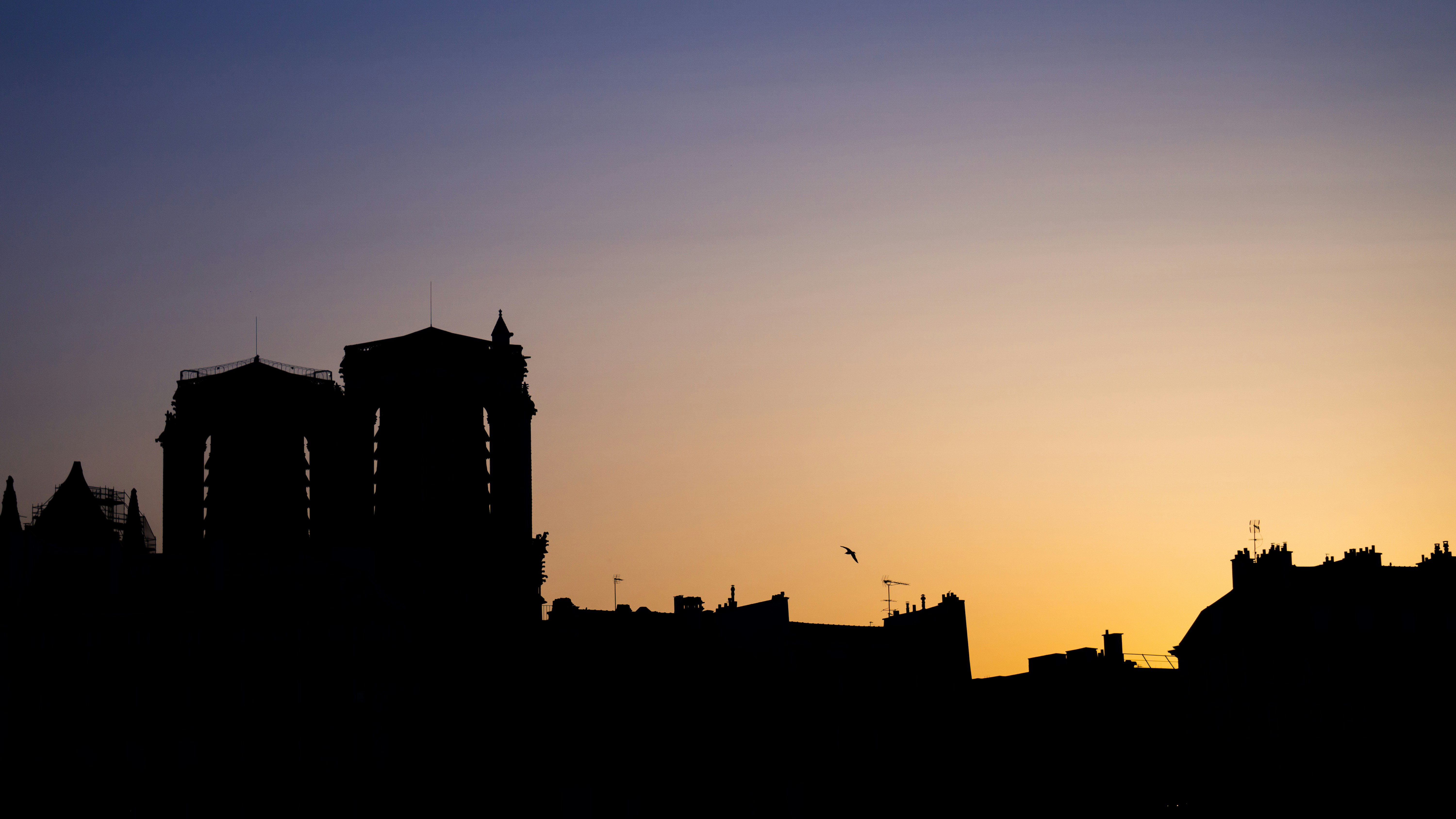 Photo by fabrizziomoncada