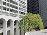 A modern architectural scene featuring a building with large, repeating square windows and archways. A lush tree with green leaves and some yellow flowers grows in front of the structure, adding a natural element to the urban setting. Another building with a sleek, dark facade can be seen in the background.