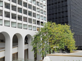 A modern architectural scene featuring a building with large, repeating square windows and archways. A lush tree with green leaves and some yellow flowers grows in front of the structure, adding a natural element to the urban setting. Another building with a sleek, dark facade can be seen in the background.