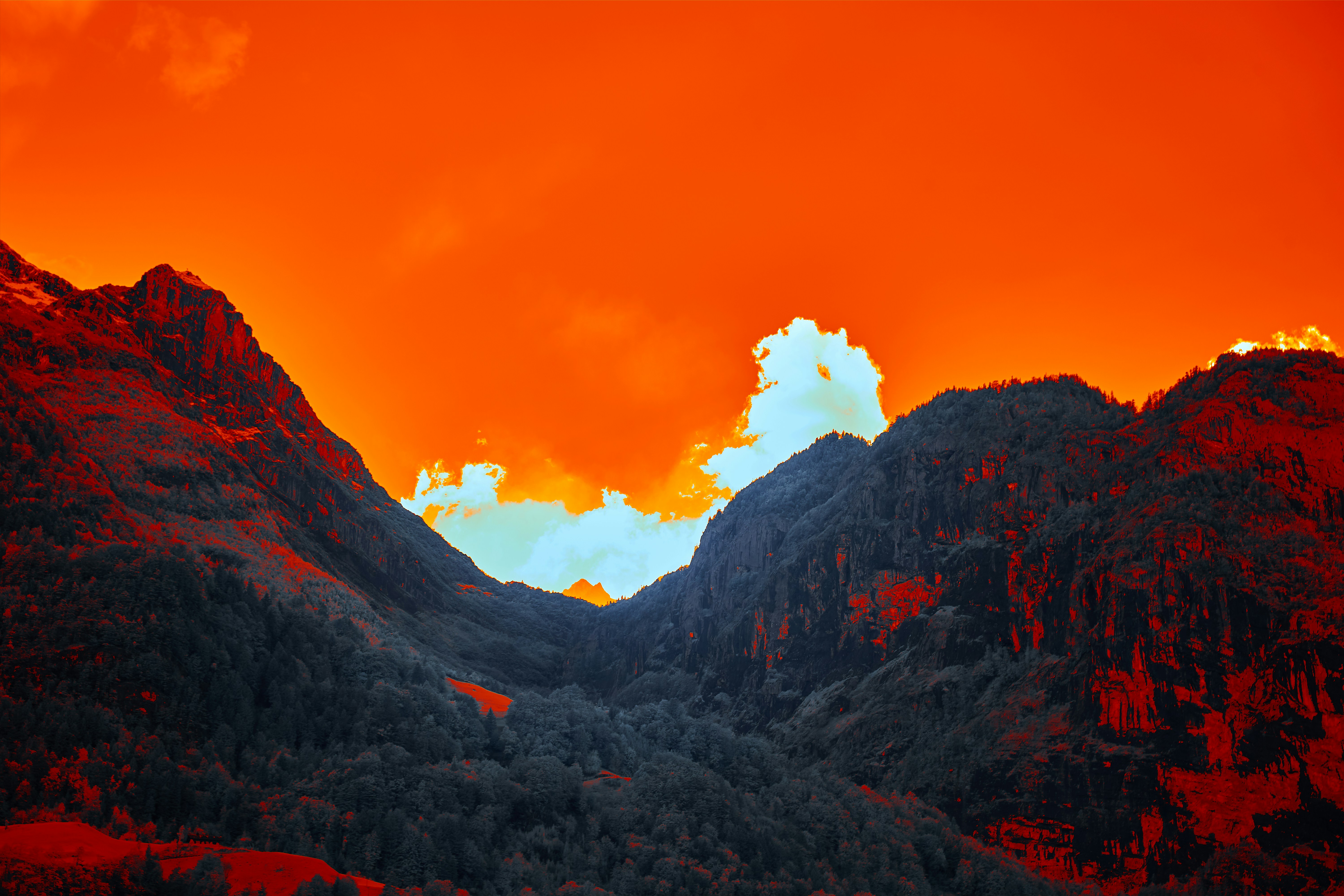 Photo by wolfgang_hasselmann