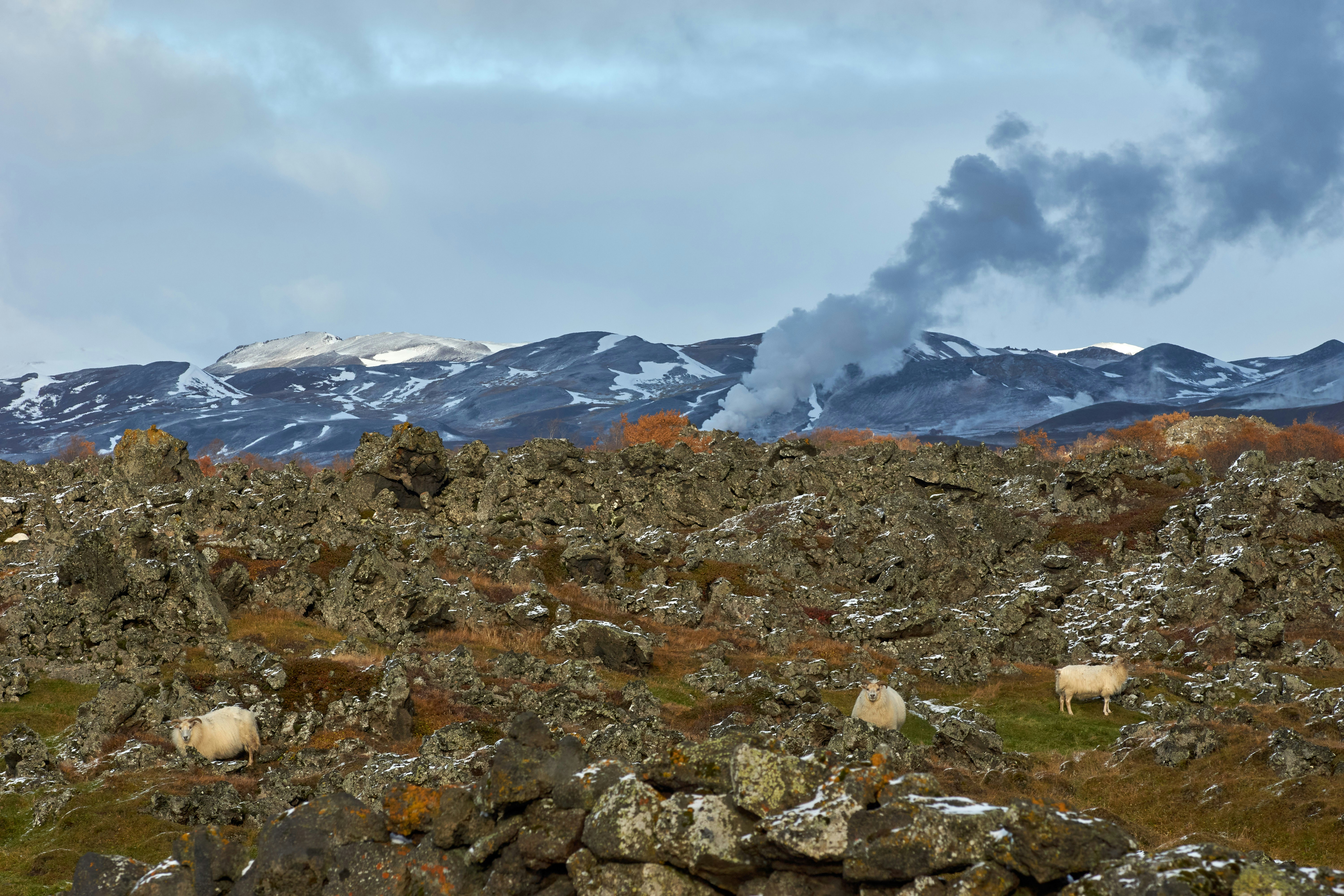 Photo by wolfgang_hasselmann