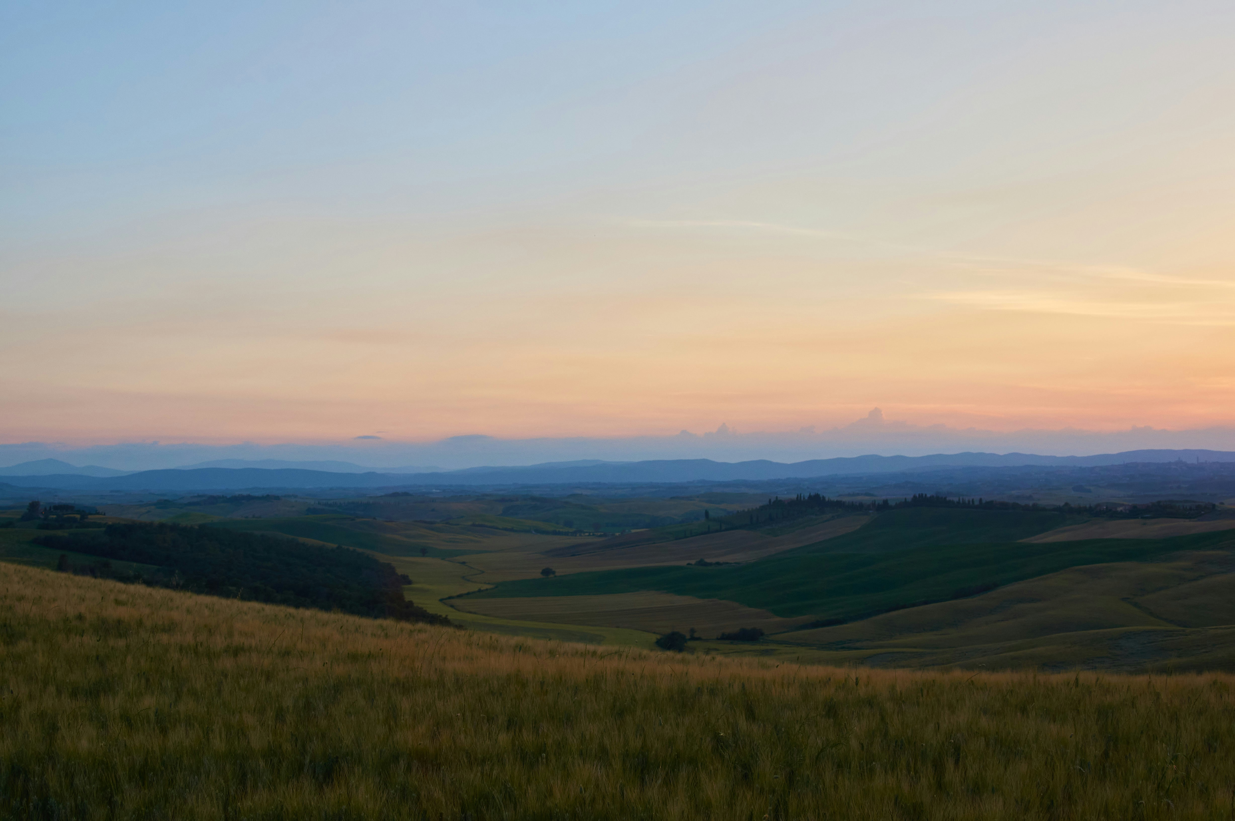 Photo by wolfgang_hasselmann