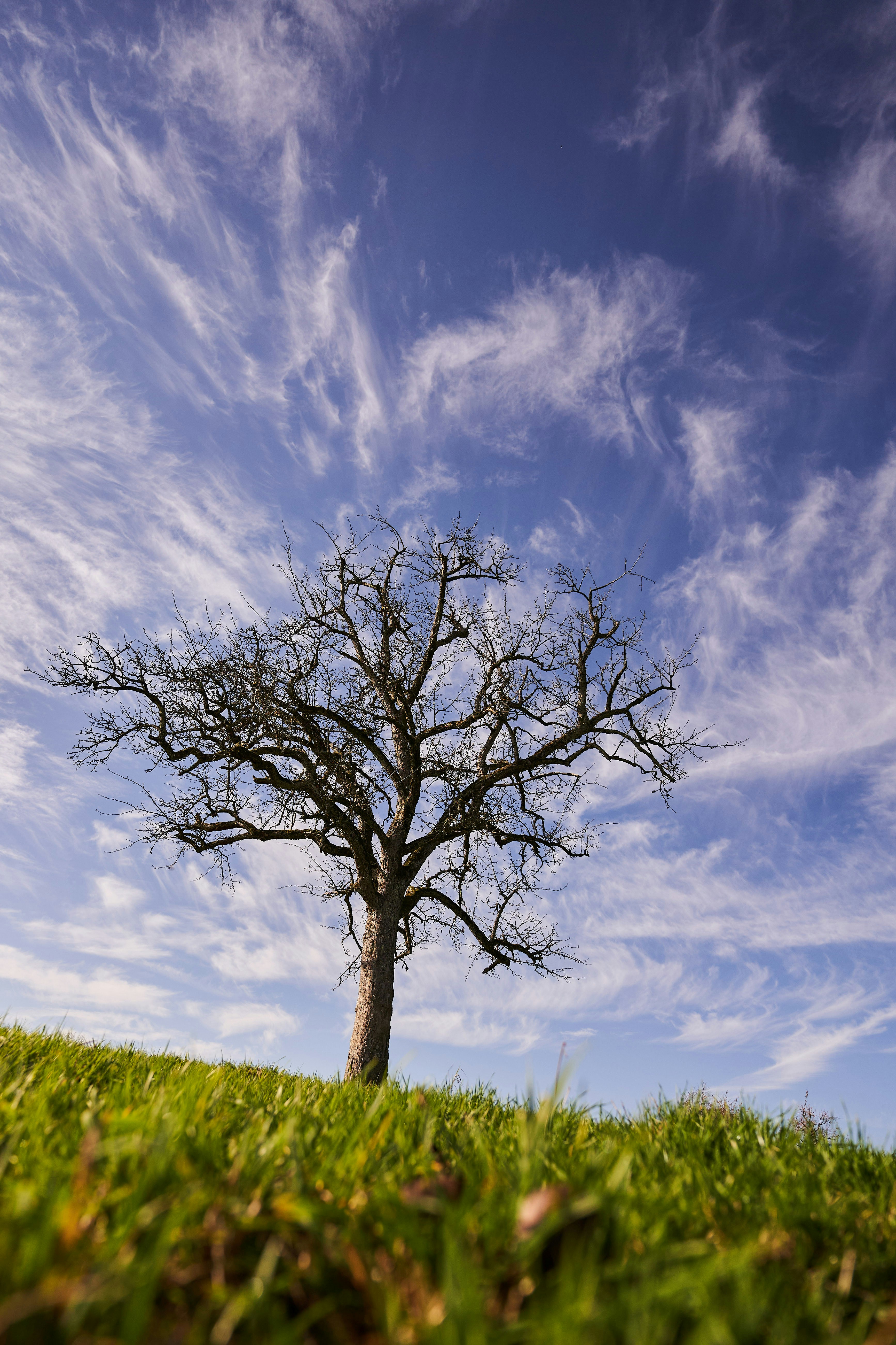 Photo by wolfgang_hasselmann