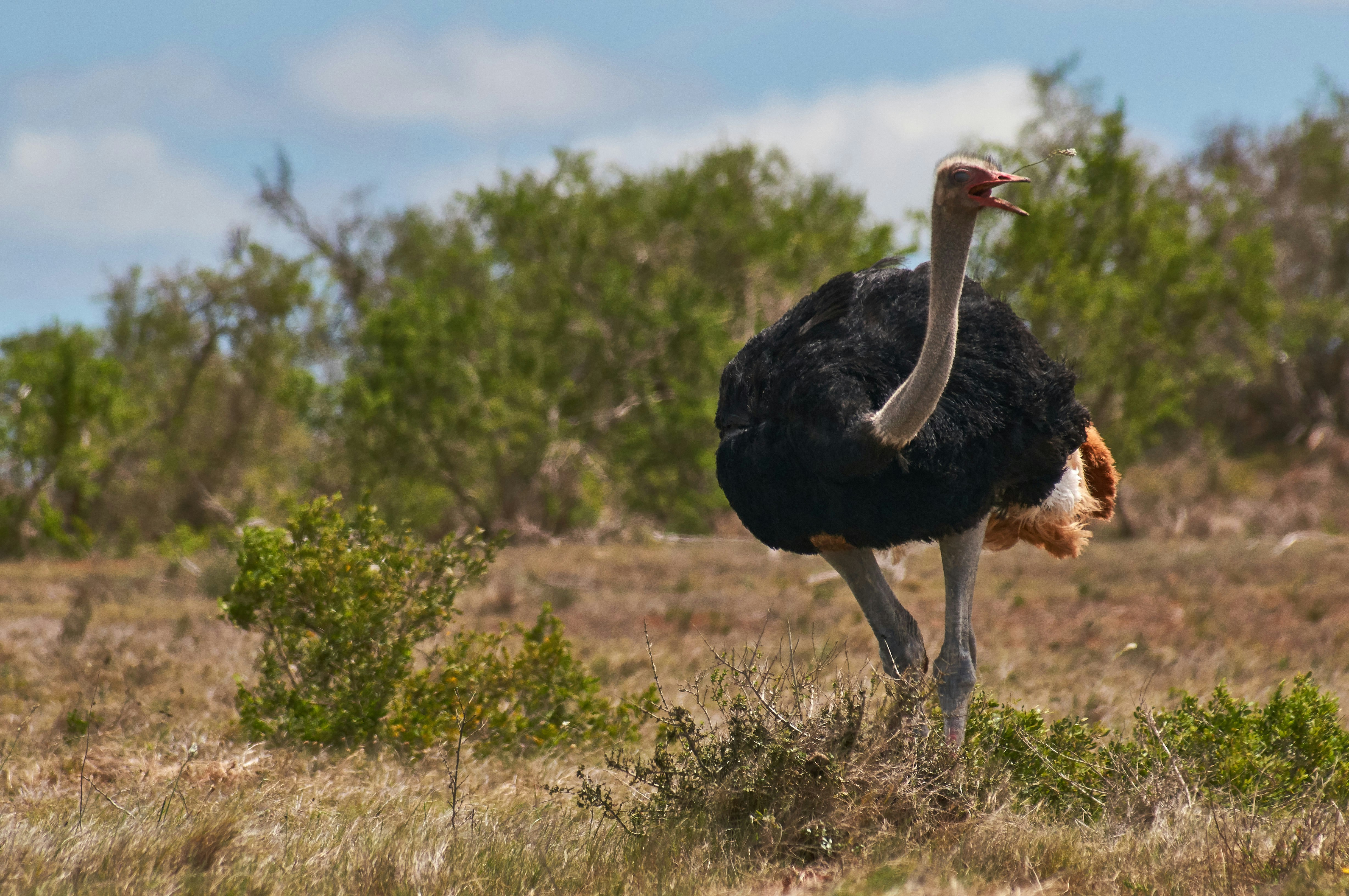 Photo by wolfgang_hasselmann