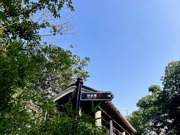 A clear blue sky serves as a backdrop to a green, lush landscape with various types of foliage. A traditional building is partially visible with ornate roof details. A signpost points towards 'Chang Yi Hu' and stands amidst the greenery, indicating direction.