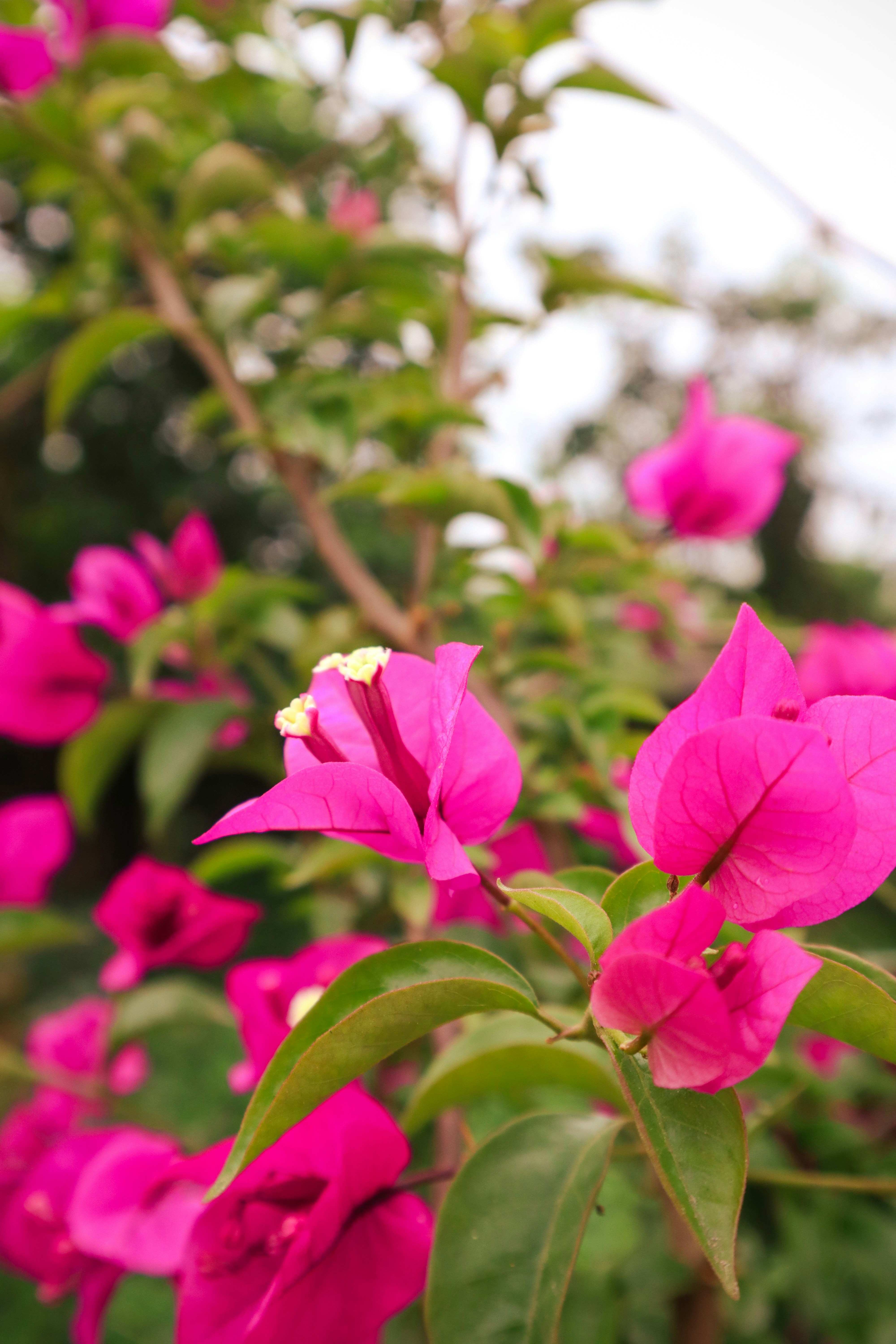 Photo by hann98_lowkey