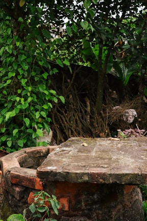 An old, moss-covered stone well is surrounded by dense, leafy green plants and trees. The well has a circular shape with aged bricks, and the area is partially shaded by the foliage overhead. Some dry leaves are scattered on top of the well.