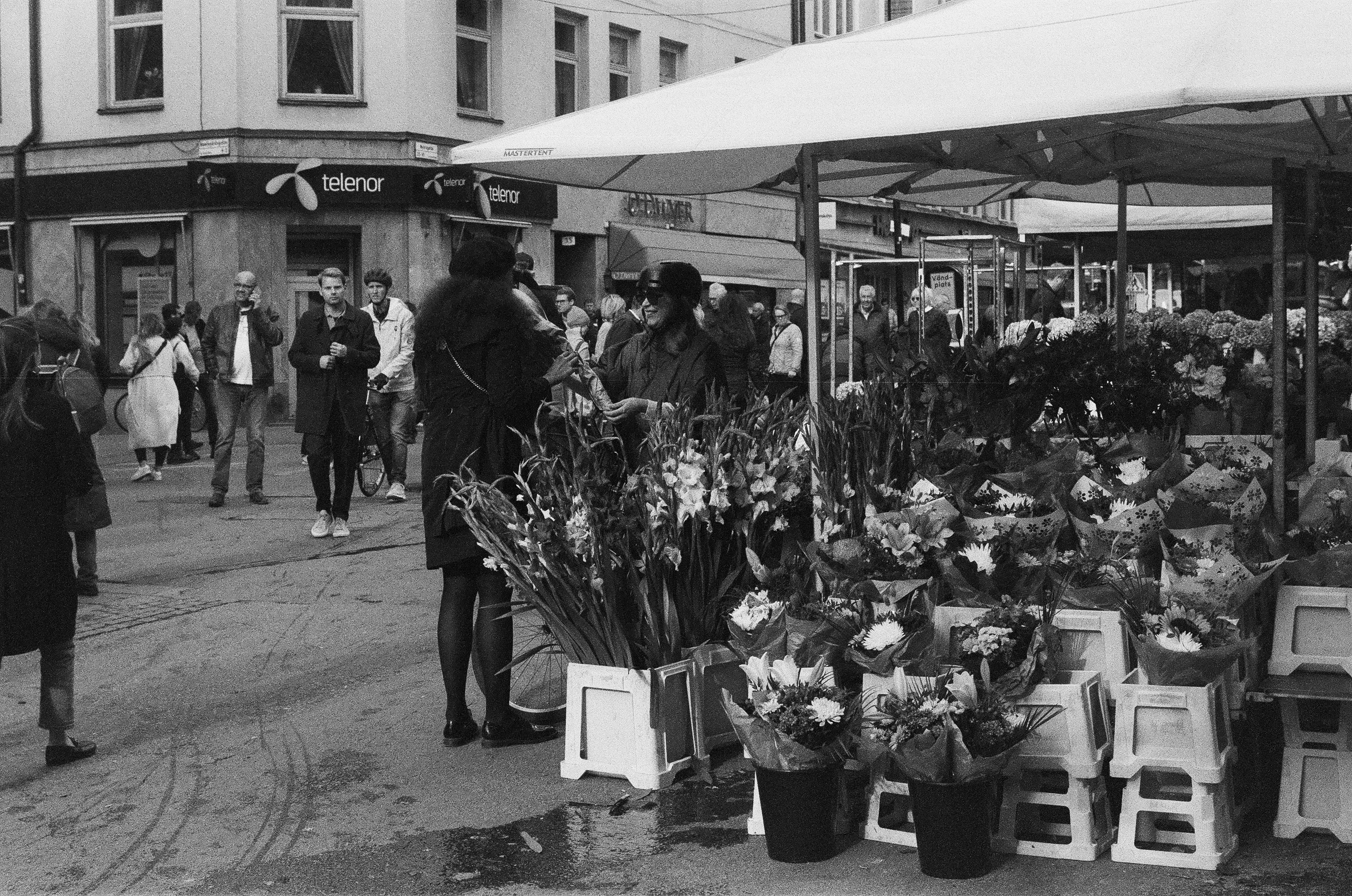 Blomsterateljén Solrosen
