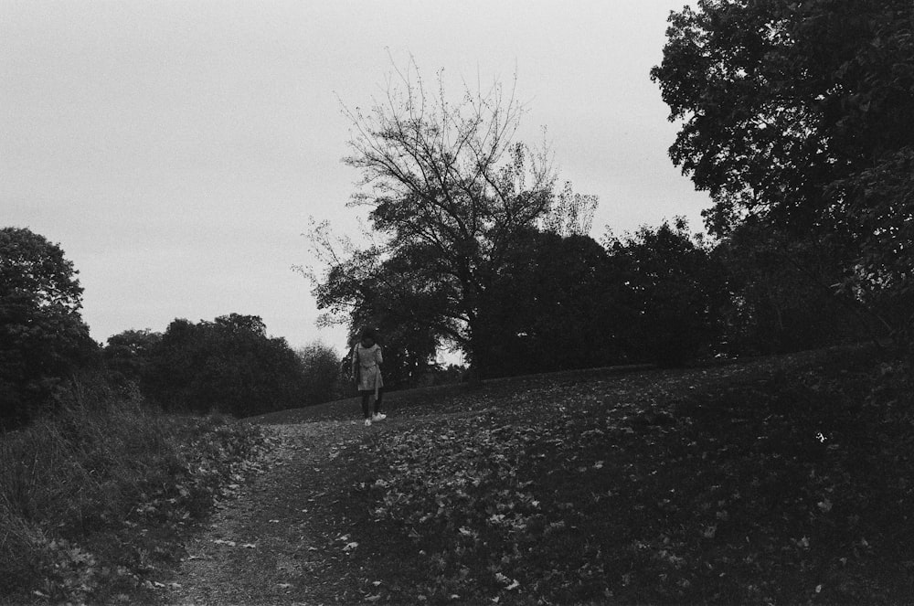 a person walking on a path with trees on the side