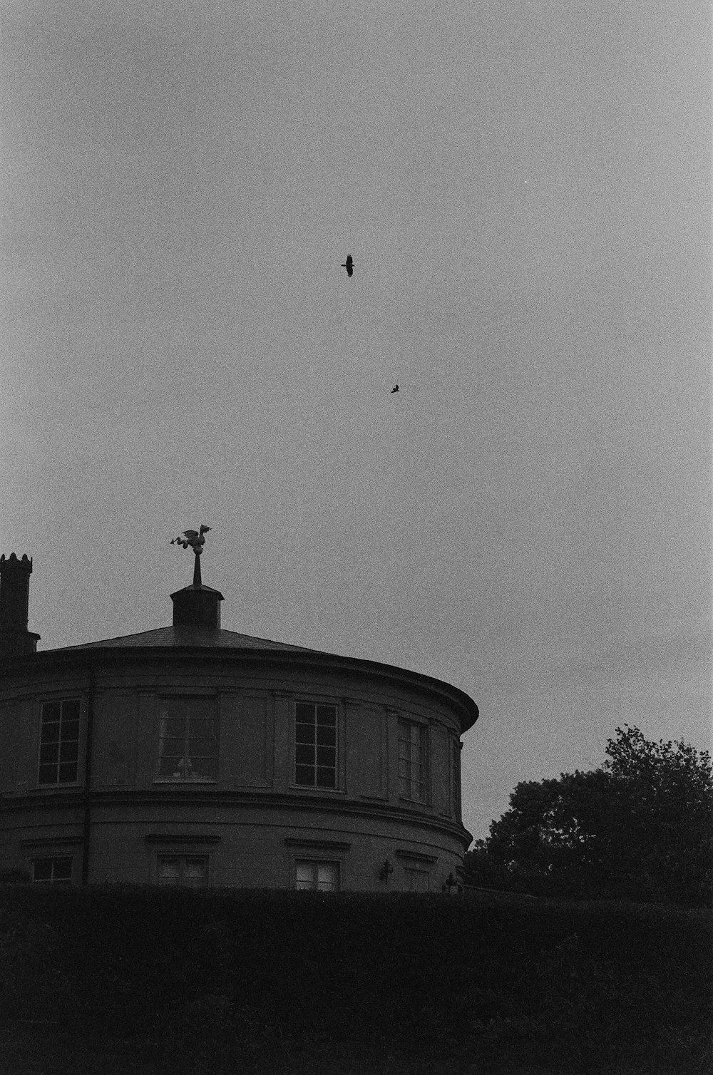 a bird flying over a building