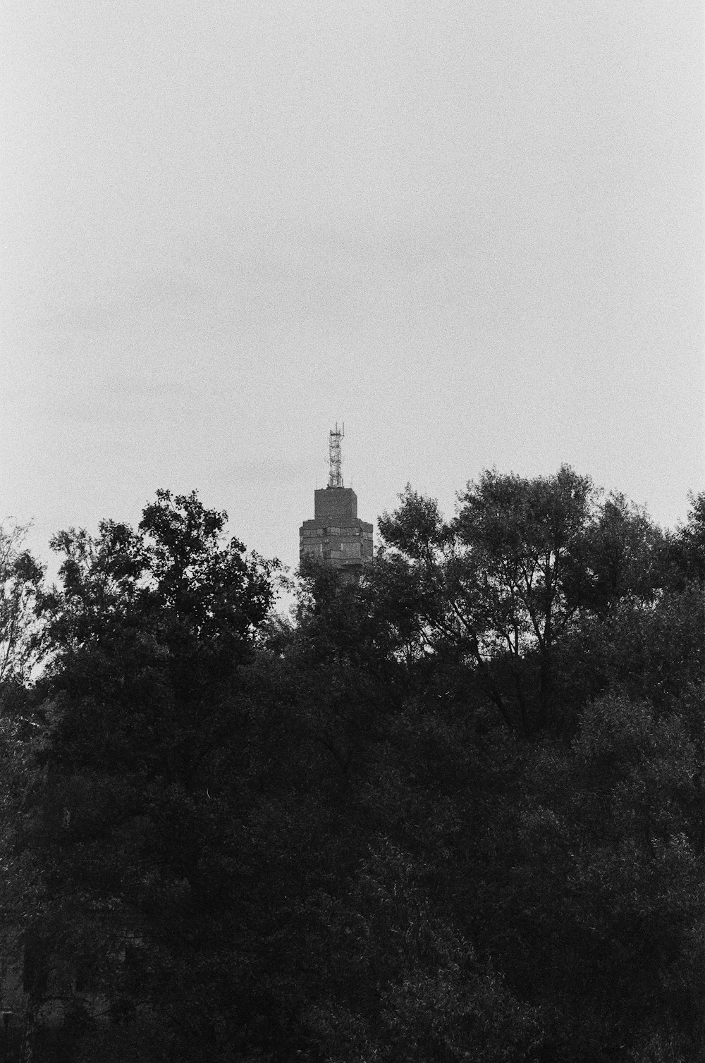 a tower behind trees