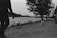 A black and white photograph of a person walking two dogs along a riverbank path. The scene is set in a serene environment with a large body of water to the left and trees lining the path on the right. The person is partially visible, and the path continues into the distance. The horizon shows some buildings faintly visible against the sky.