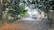 Raindrops cover a glass surface, blurring the view of a street lined with trees. The background includes faint outlines of people and vehicles, creating a calm, rainy day ambiance.