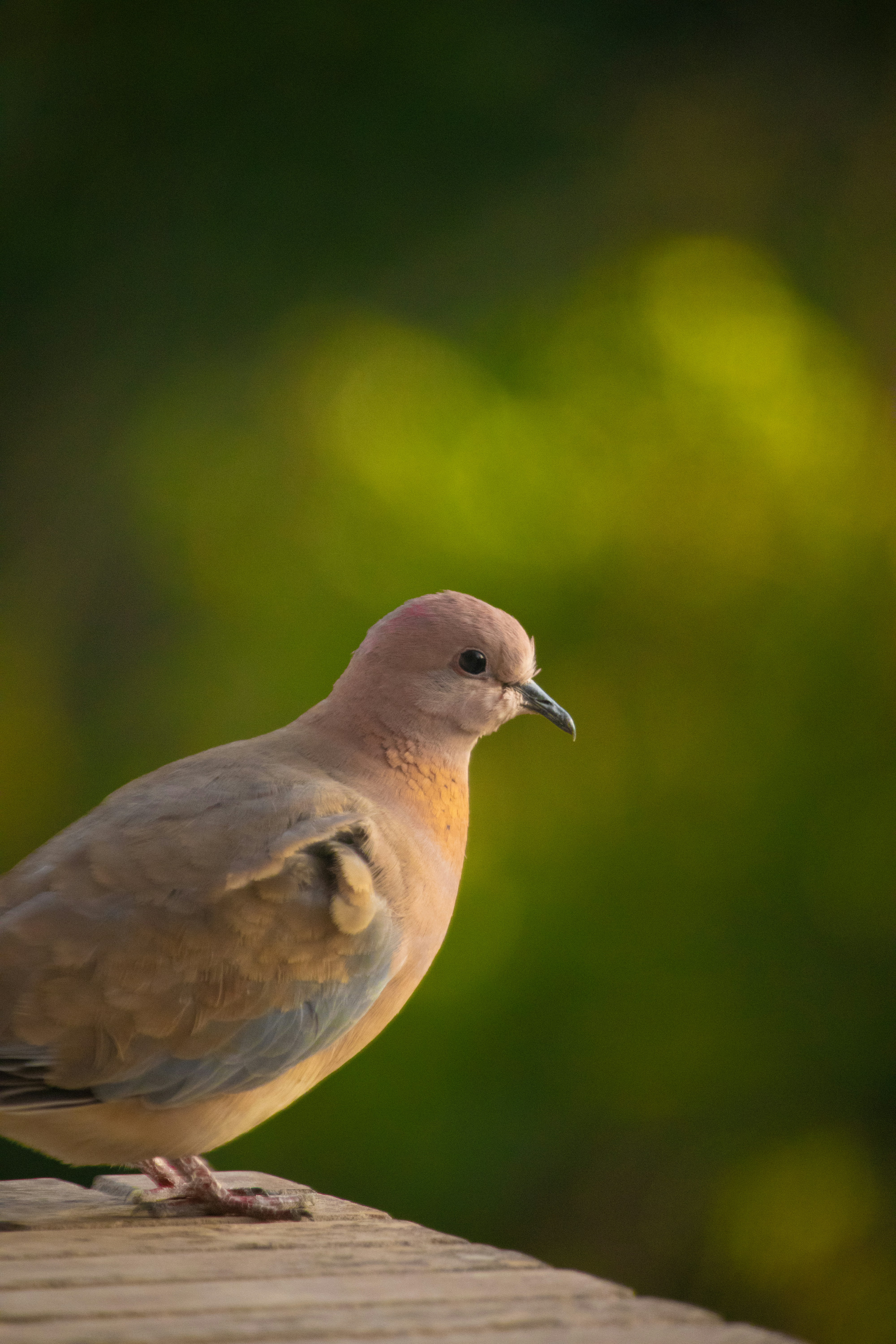 Photo by sinabahar76