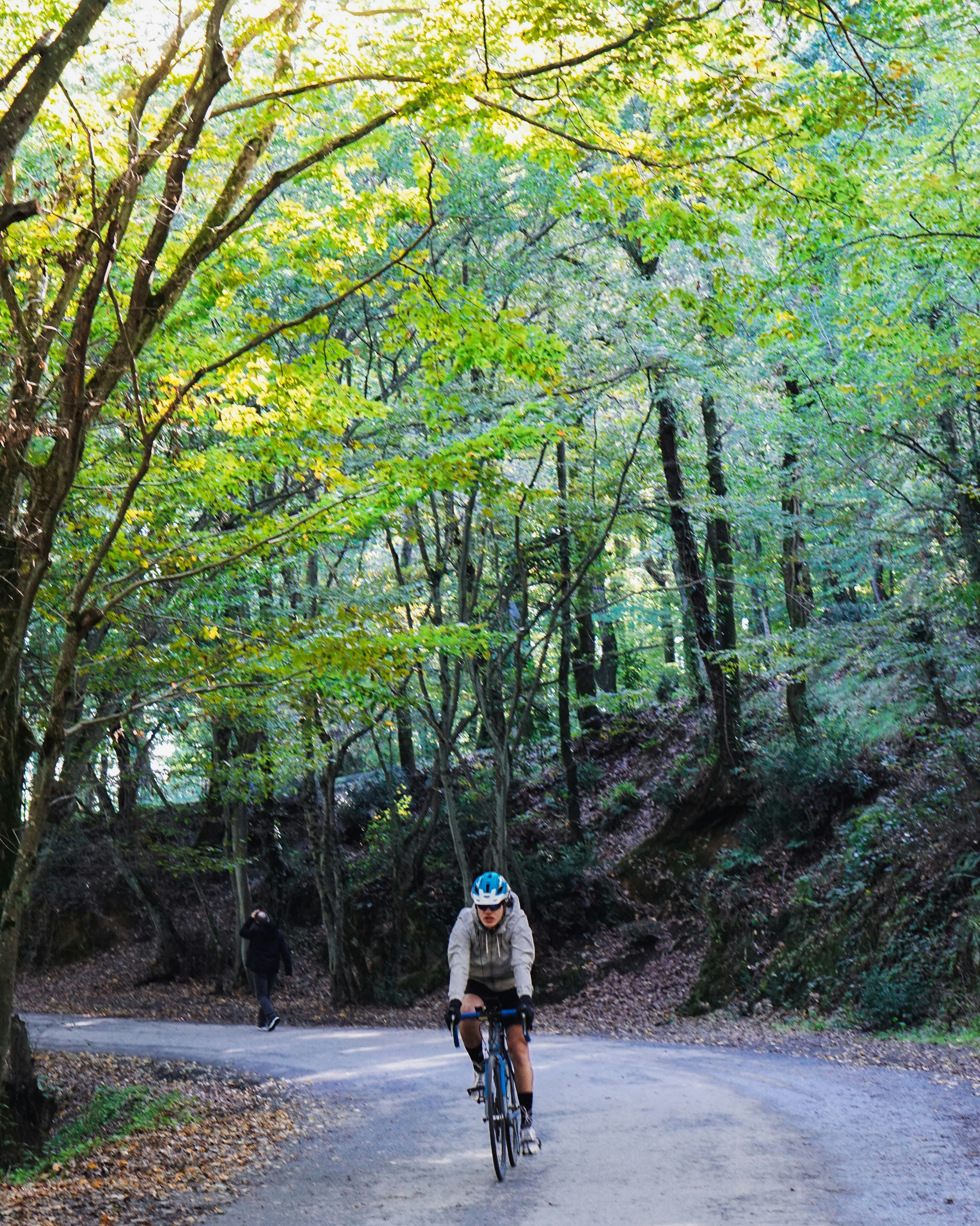 a person riding a bicycle on a path surrounded by trees