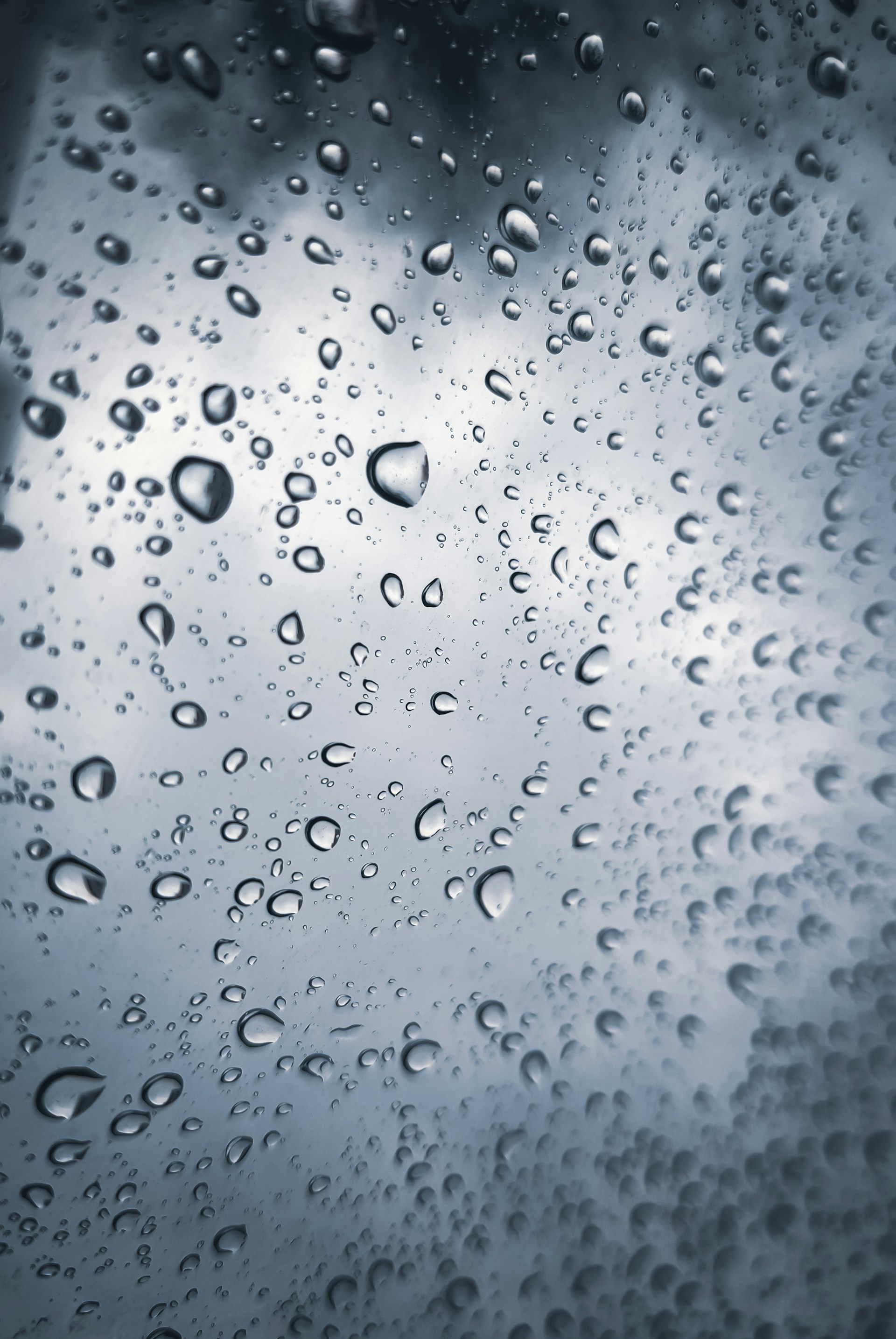 water drops on a window