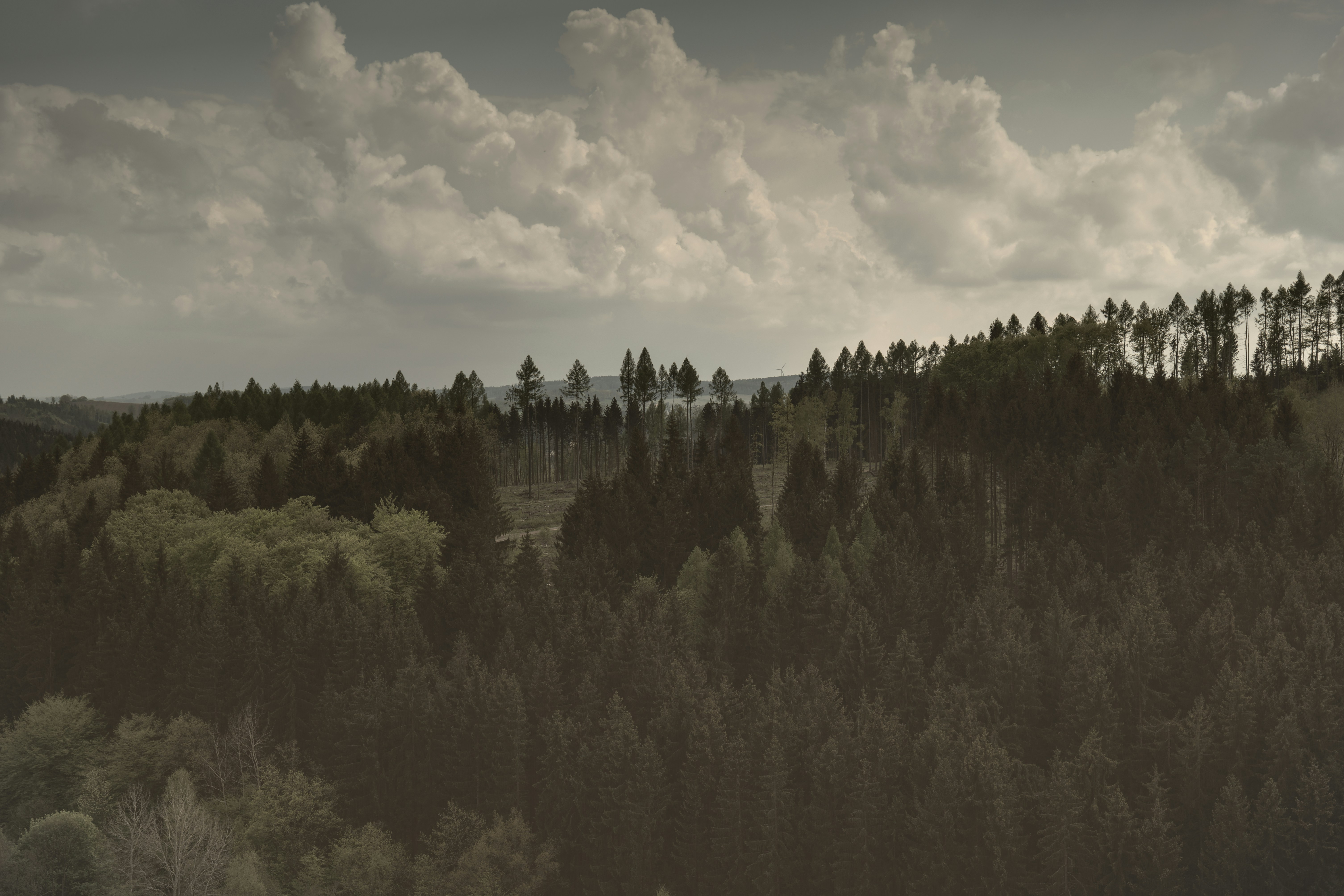 Photo by straatskoonheid