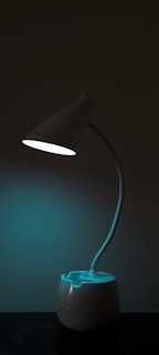 An elegant table lamp with a modern design and soft lighting.