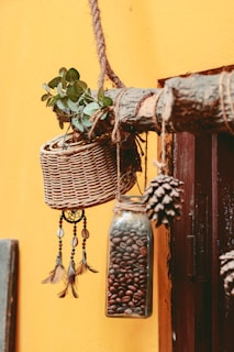 A rustic setup featuring a wicker basket with green foliage and a hanging dreamcatcher adorned with beads and feathers. A glass jar filled with coffee beans and a pinecone are suspended from a wooden log against a vibrant yellow wall.