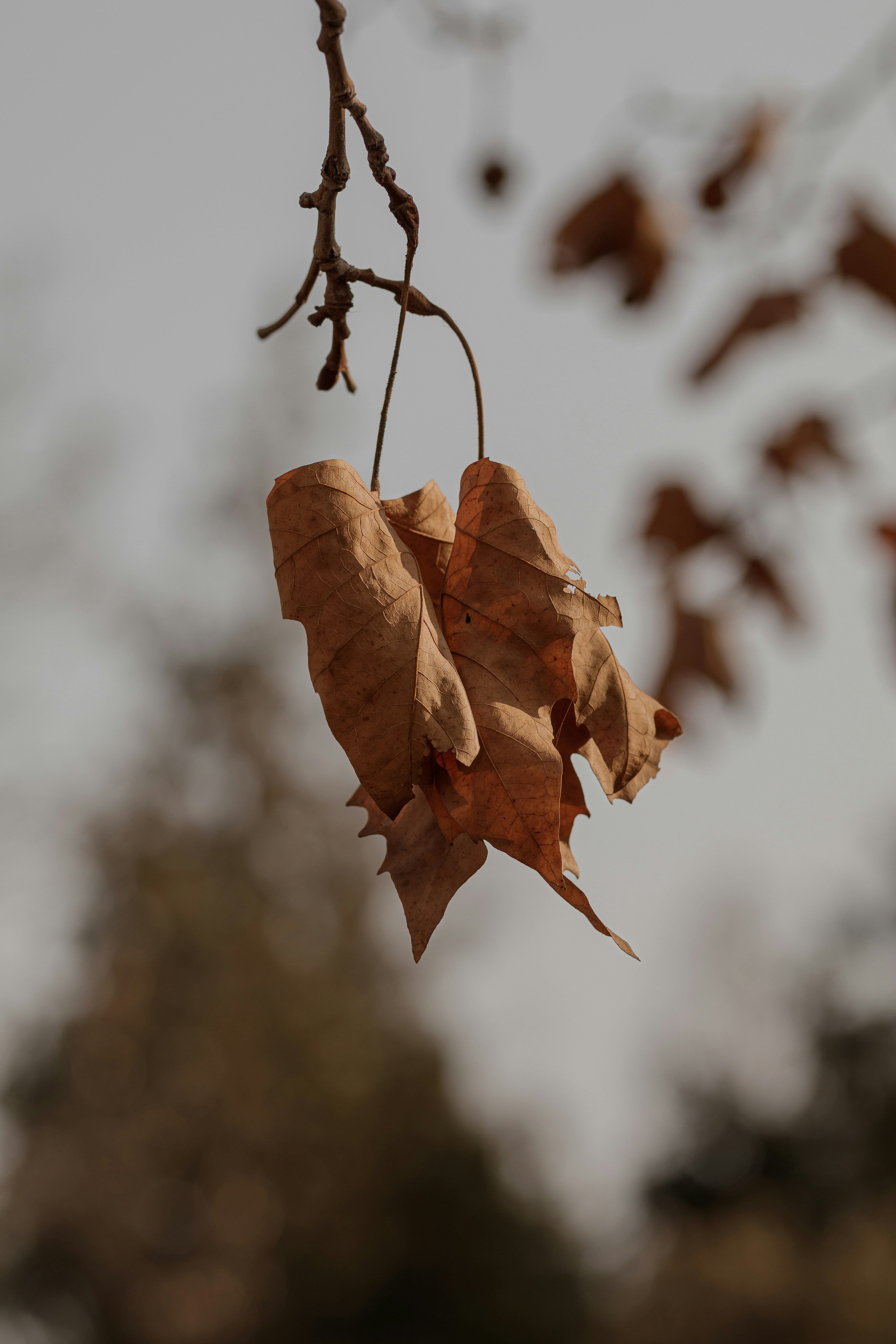 Photo by dylanhendricks