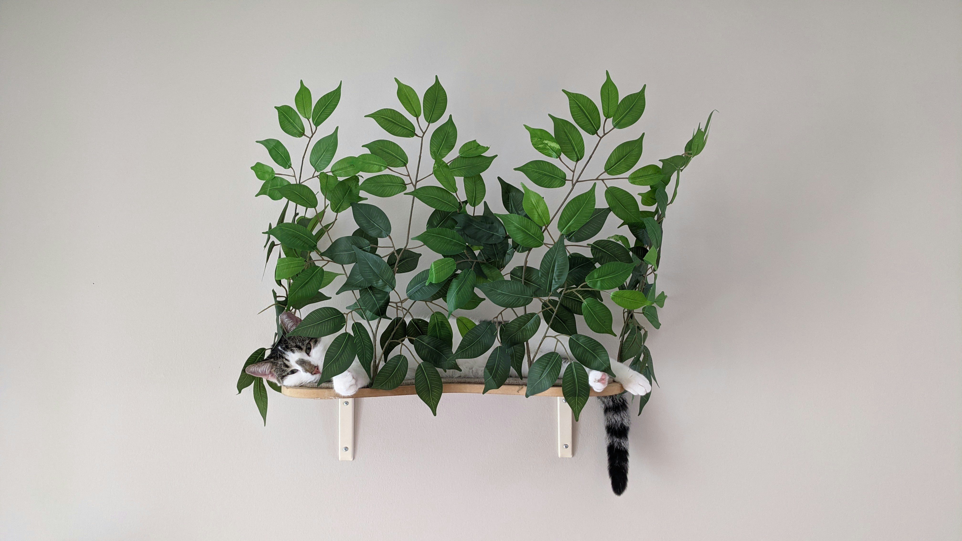 a cat lying on a cat tree