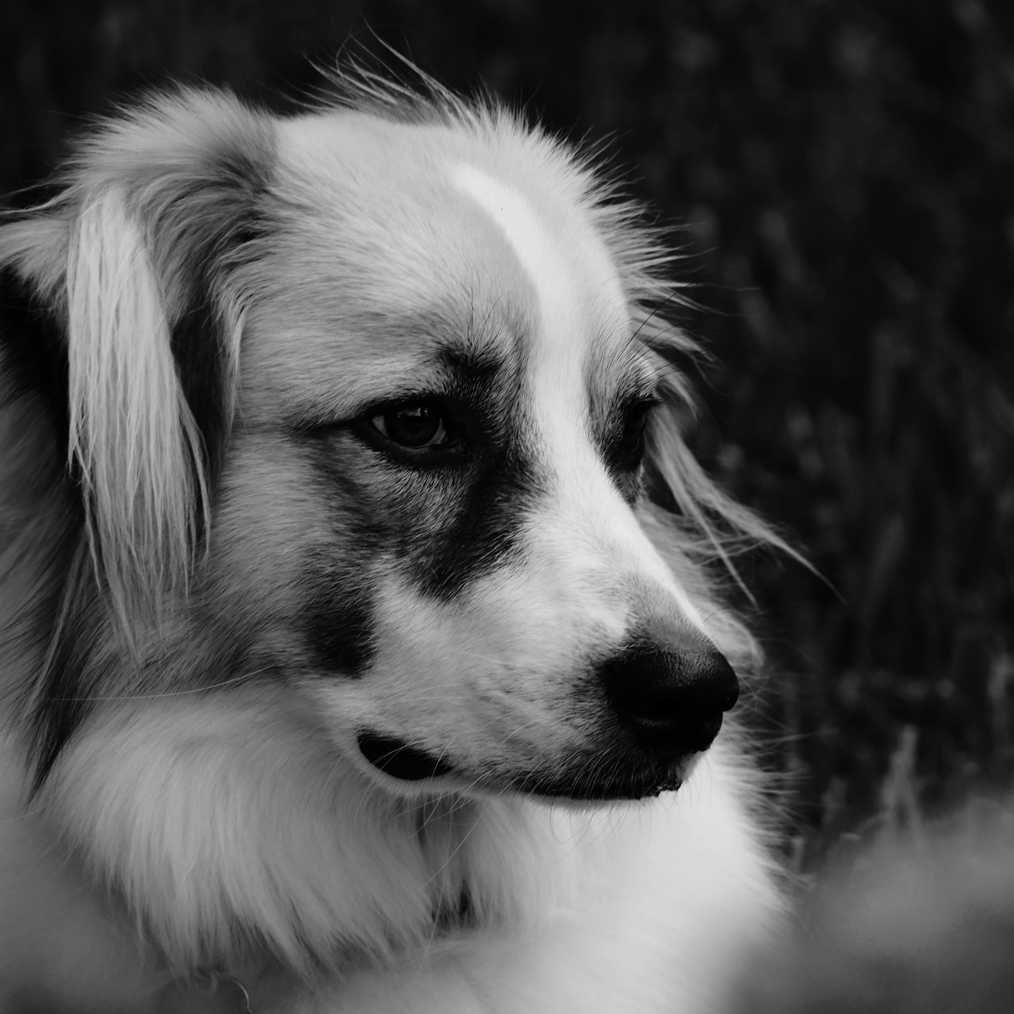 Photo by randomthinking