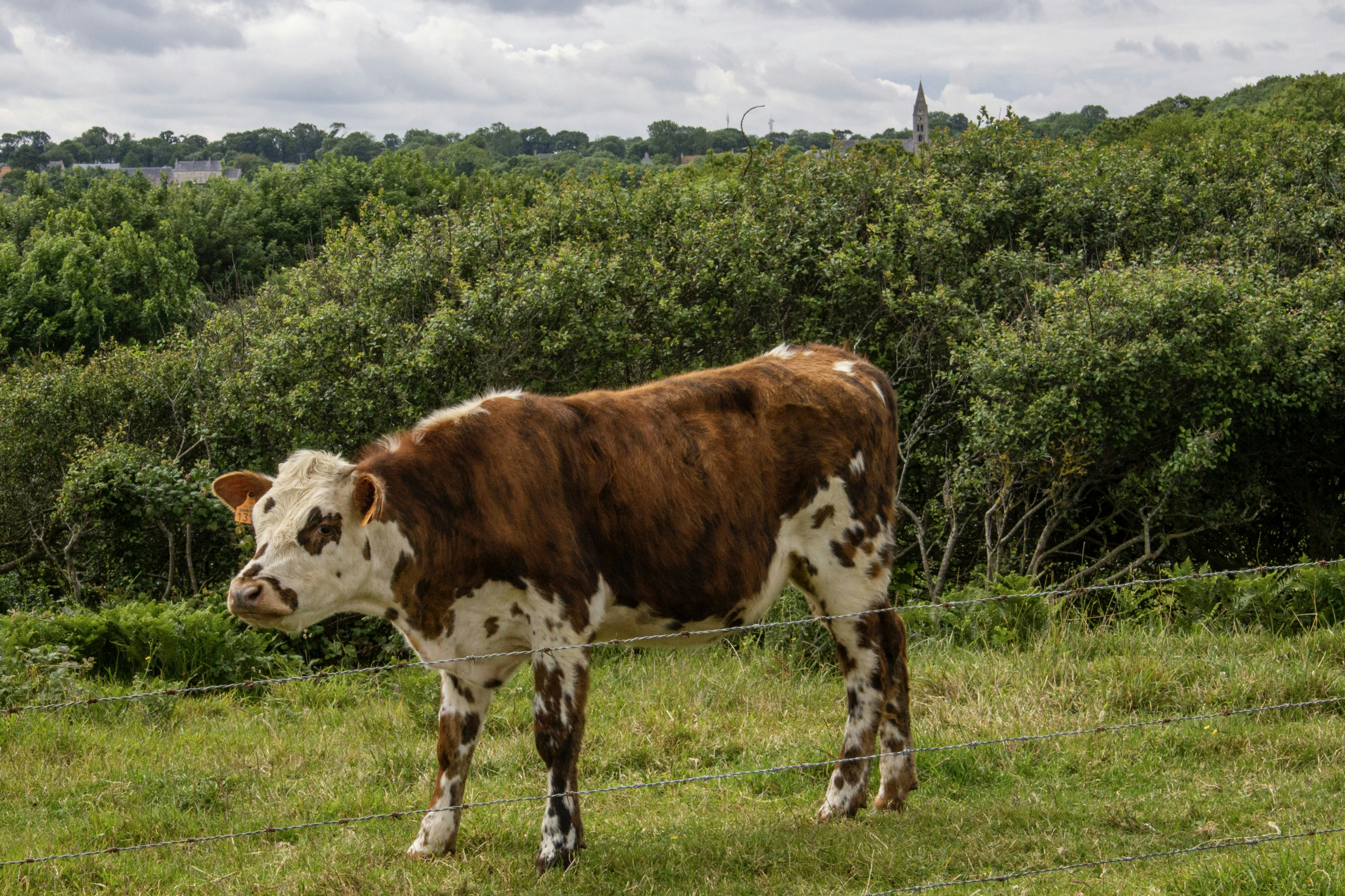 Photo by spencerjameslucas