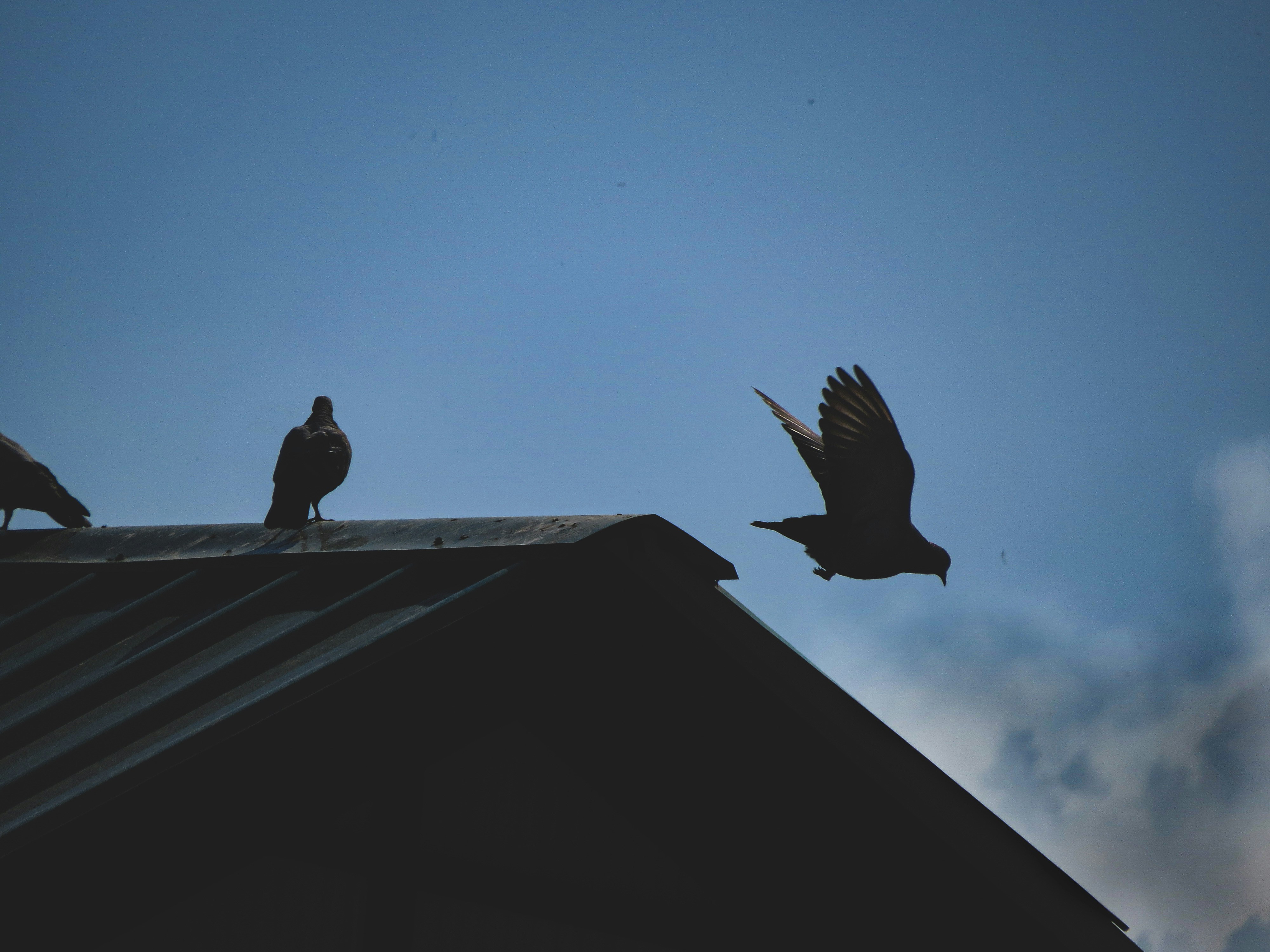 Photo by raghavkalia