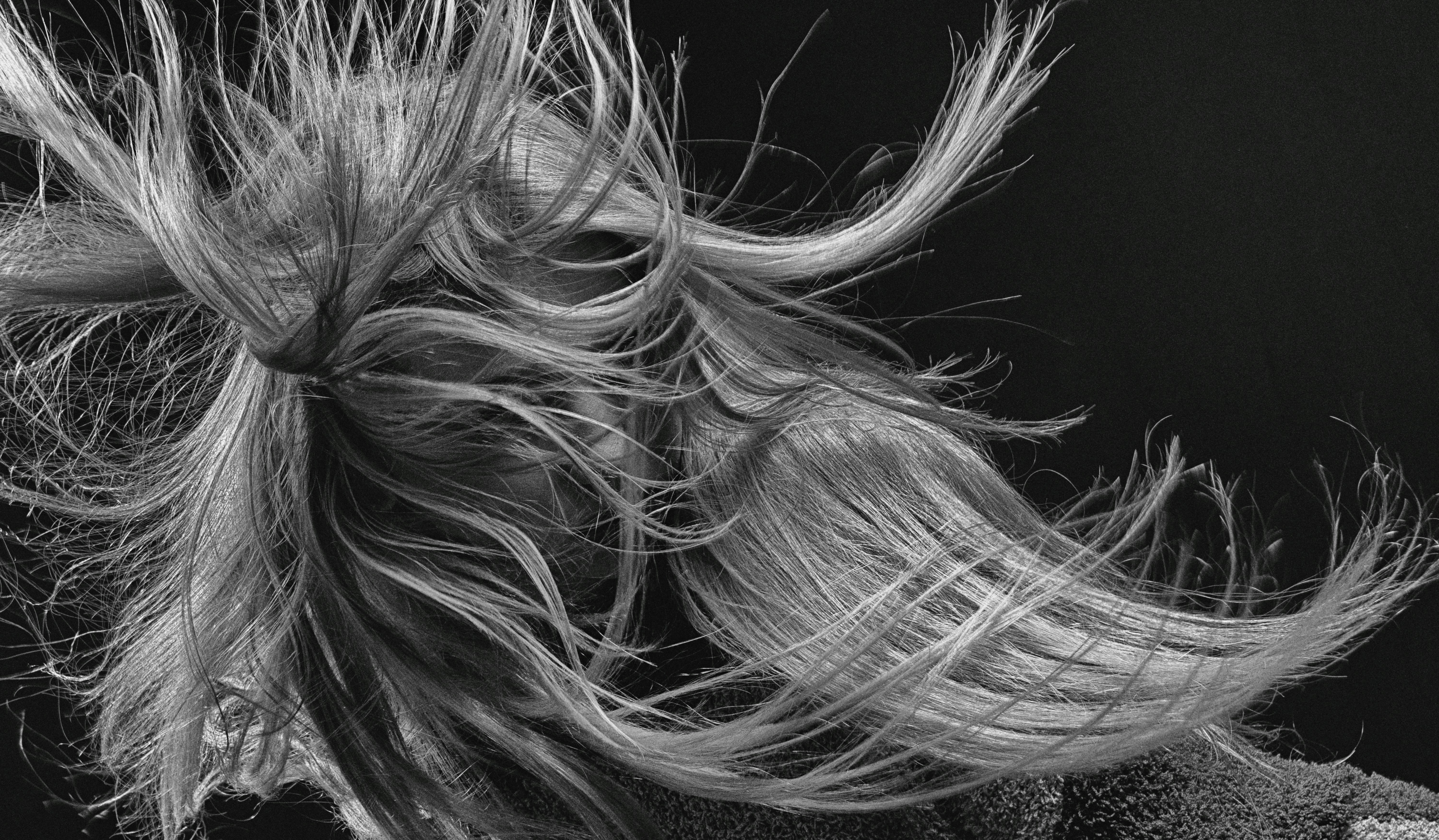 Premium Quality Hair Products