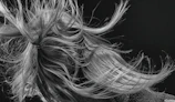 Curly texture wig styled elegantly on a model, capturing movement and shine in natural light.
